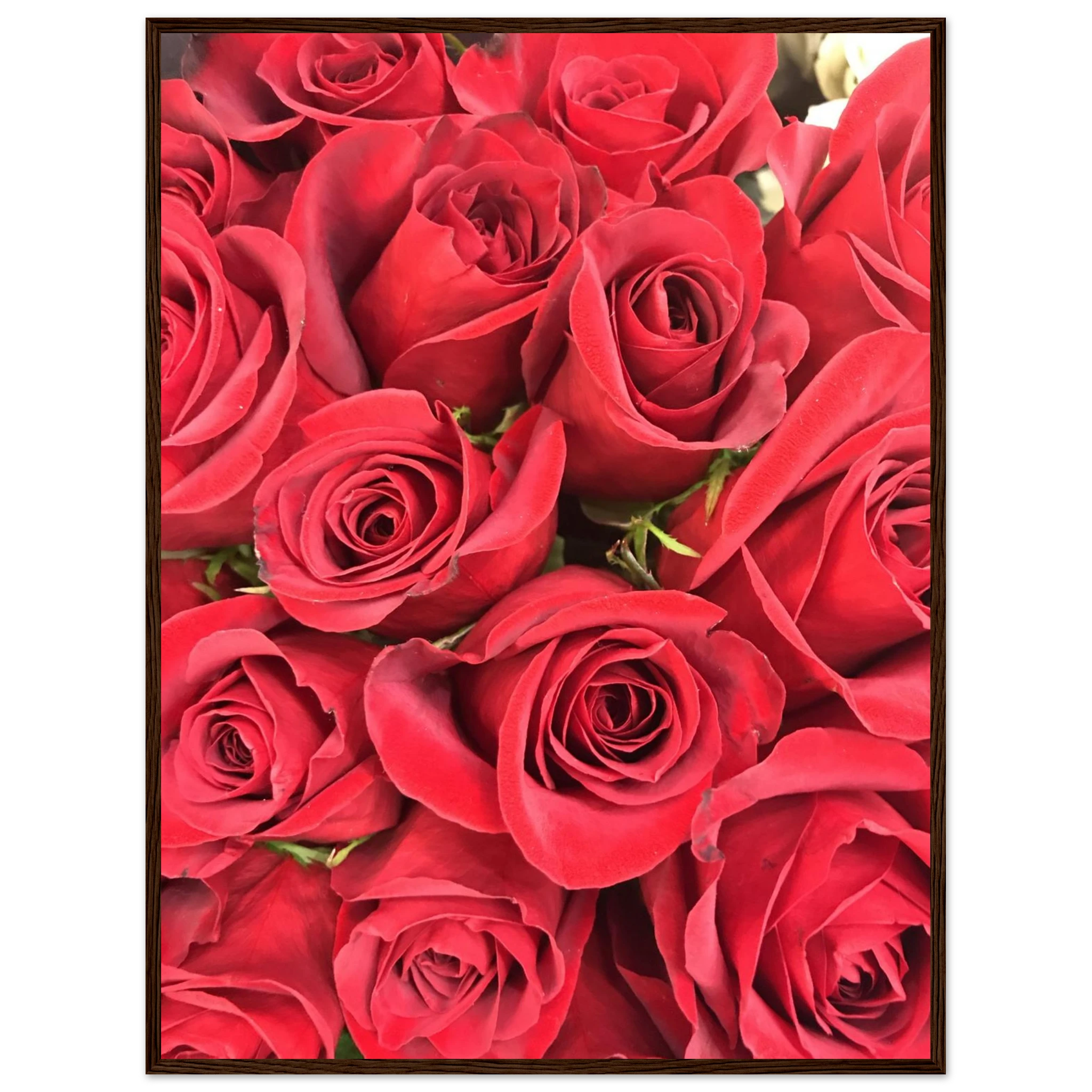 a5fb68f9-e1f5-4001-8f0f-e11bc5e5ec07