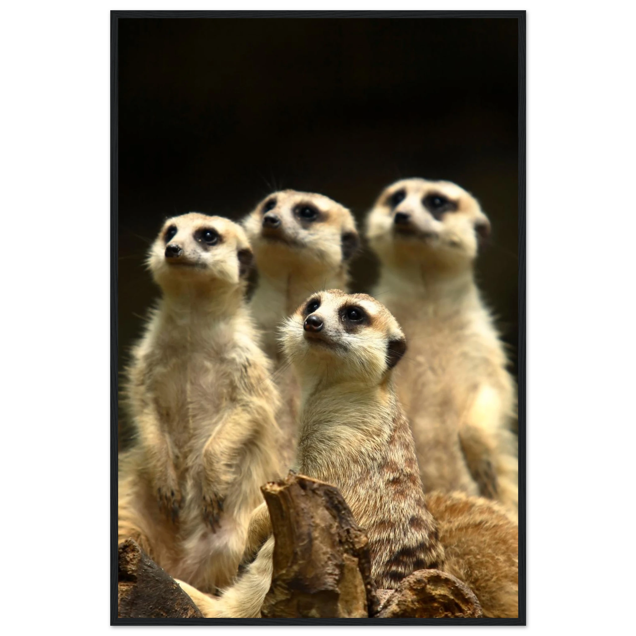 a627ae64-0ce2-452d-aa04-d3ab57105e9c