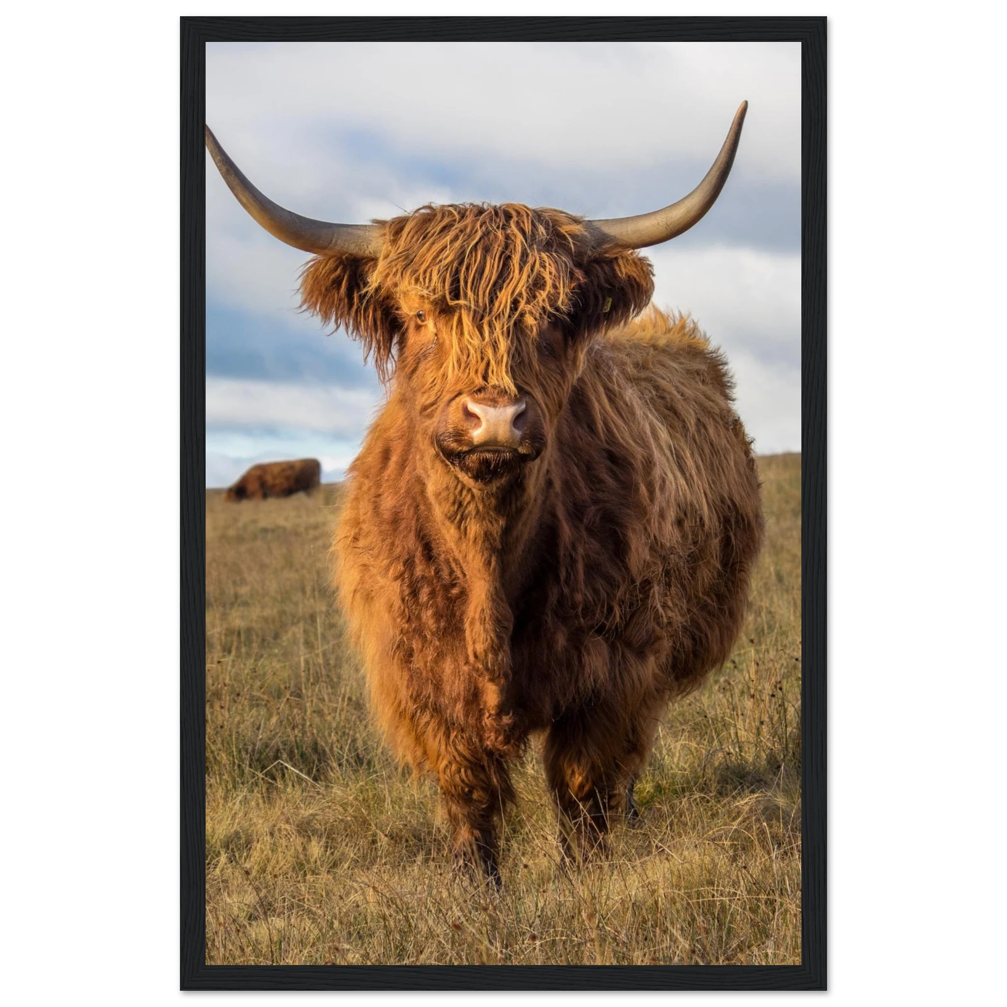 a637f0b2-aaf7-41db-bb39-7550b57b6a04