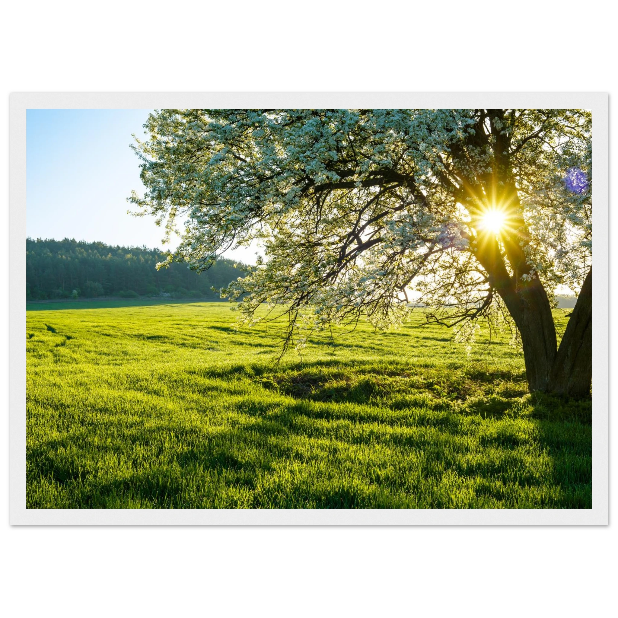 a65d4498-8640-4578-97be-4c431c79fa84