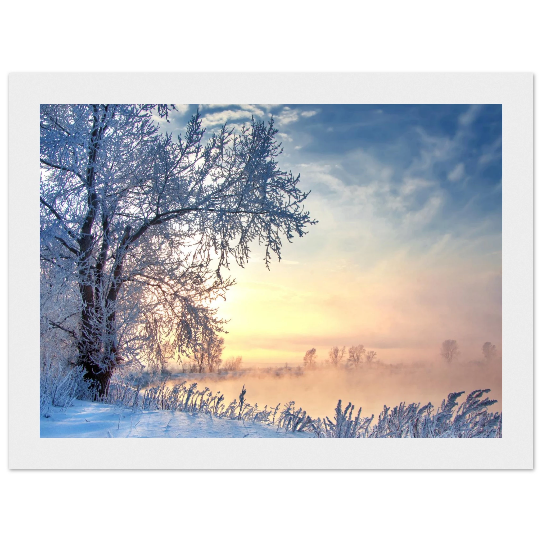 a65dbb9d-f97a-4e40-8323-b5dd2790c9e7