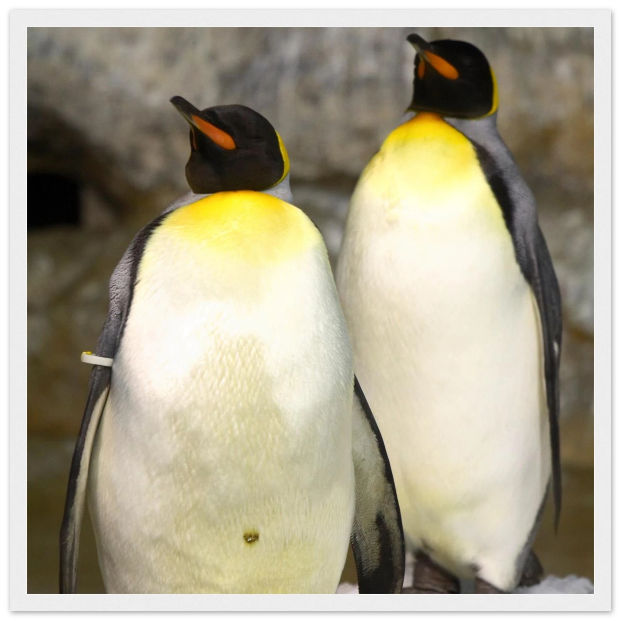 a66be514-8909-4c0c-807a-22a45700ebee