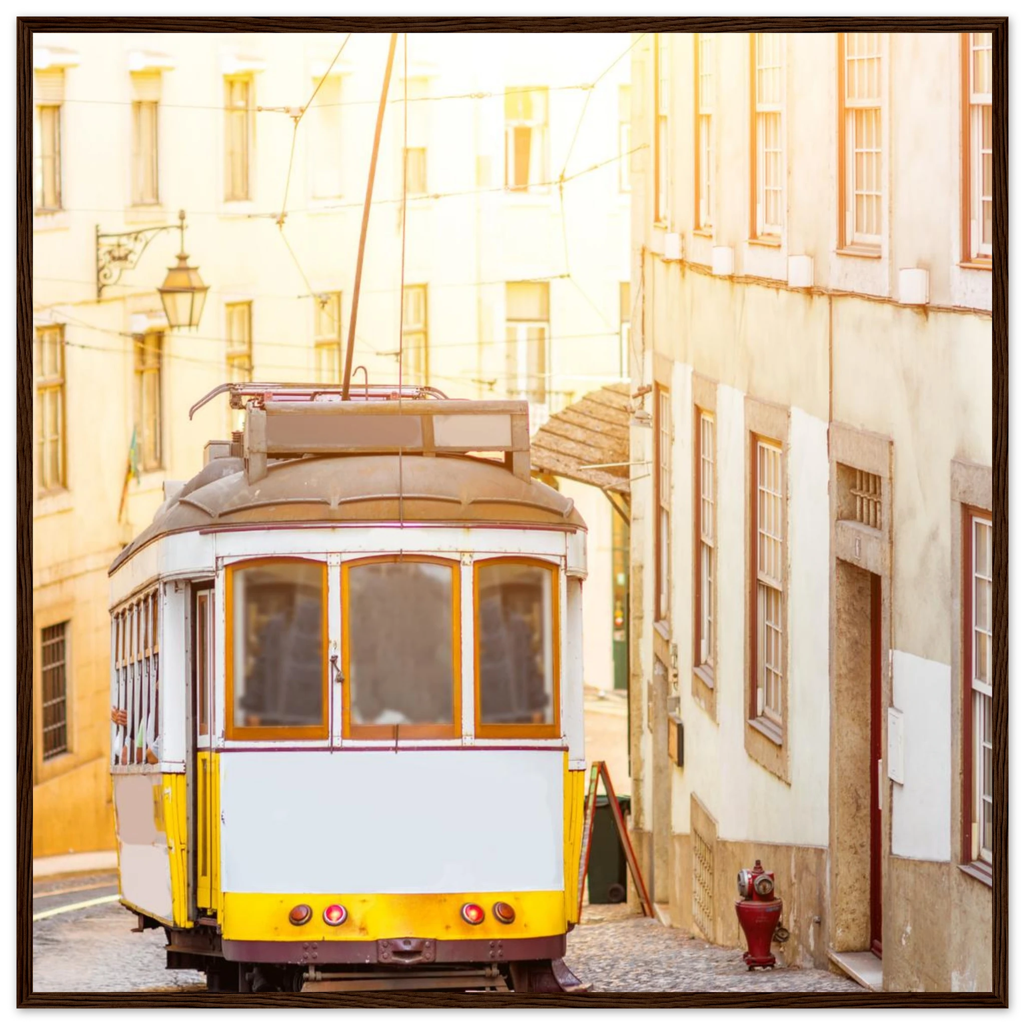 a6834ce5-5673-4f6c-9c58-26b3eeeb41e3