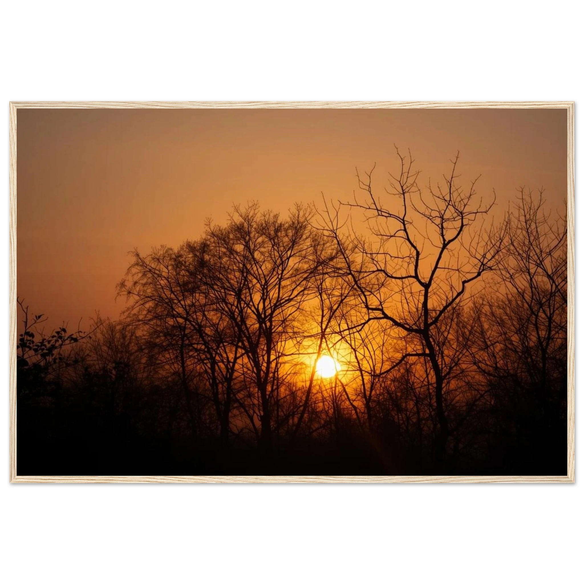 a68c1fb1-9bd3-40c8-8211-af1bc3f2a4c1