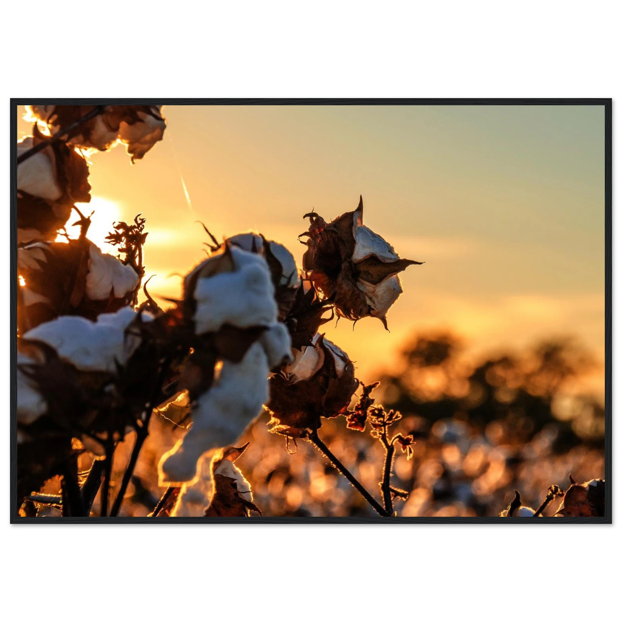 a6b0820d-f176-44a9-92ab-11fc12d40b6f