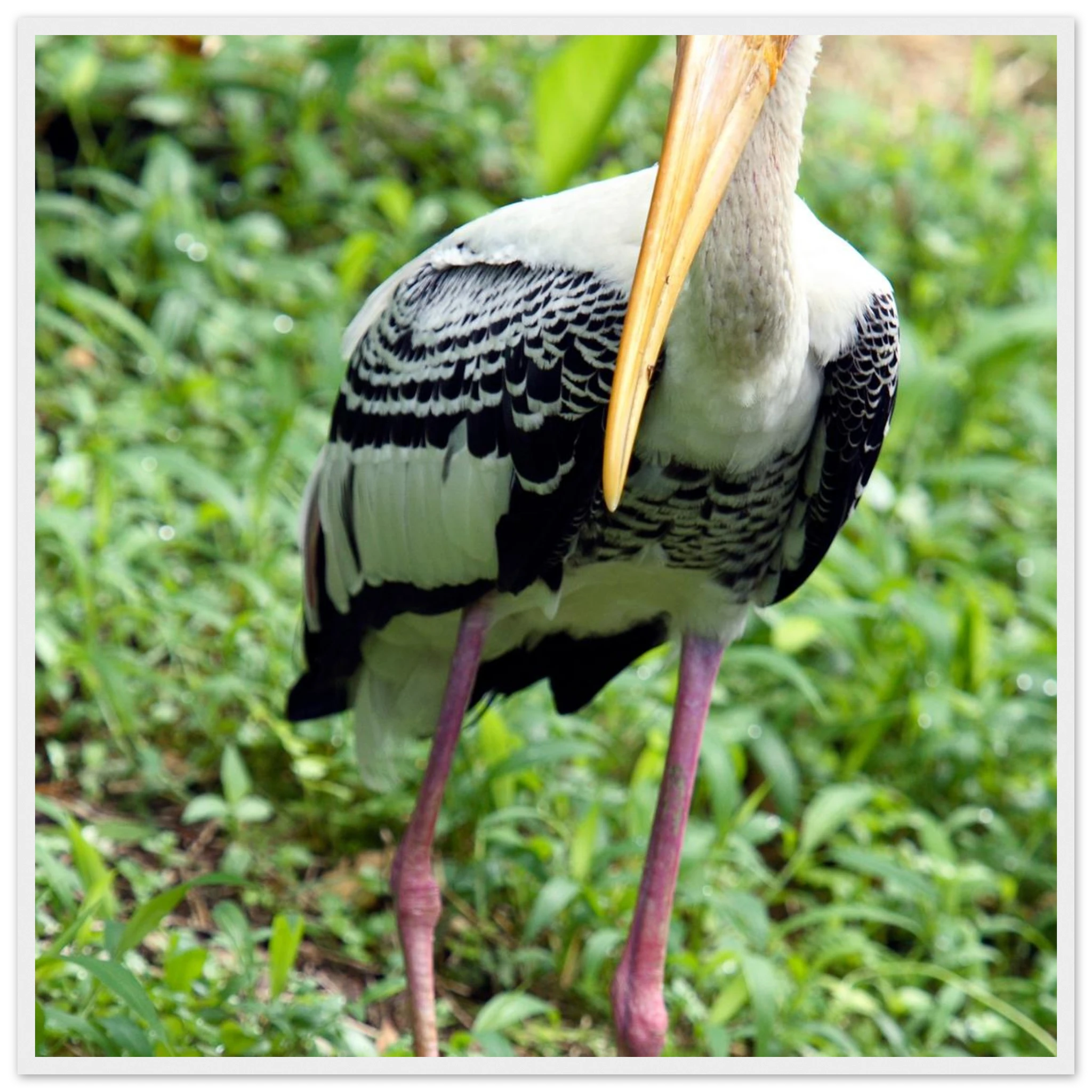 a6c24201-d1cd-4190-8734-2141ffdf0b0d