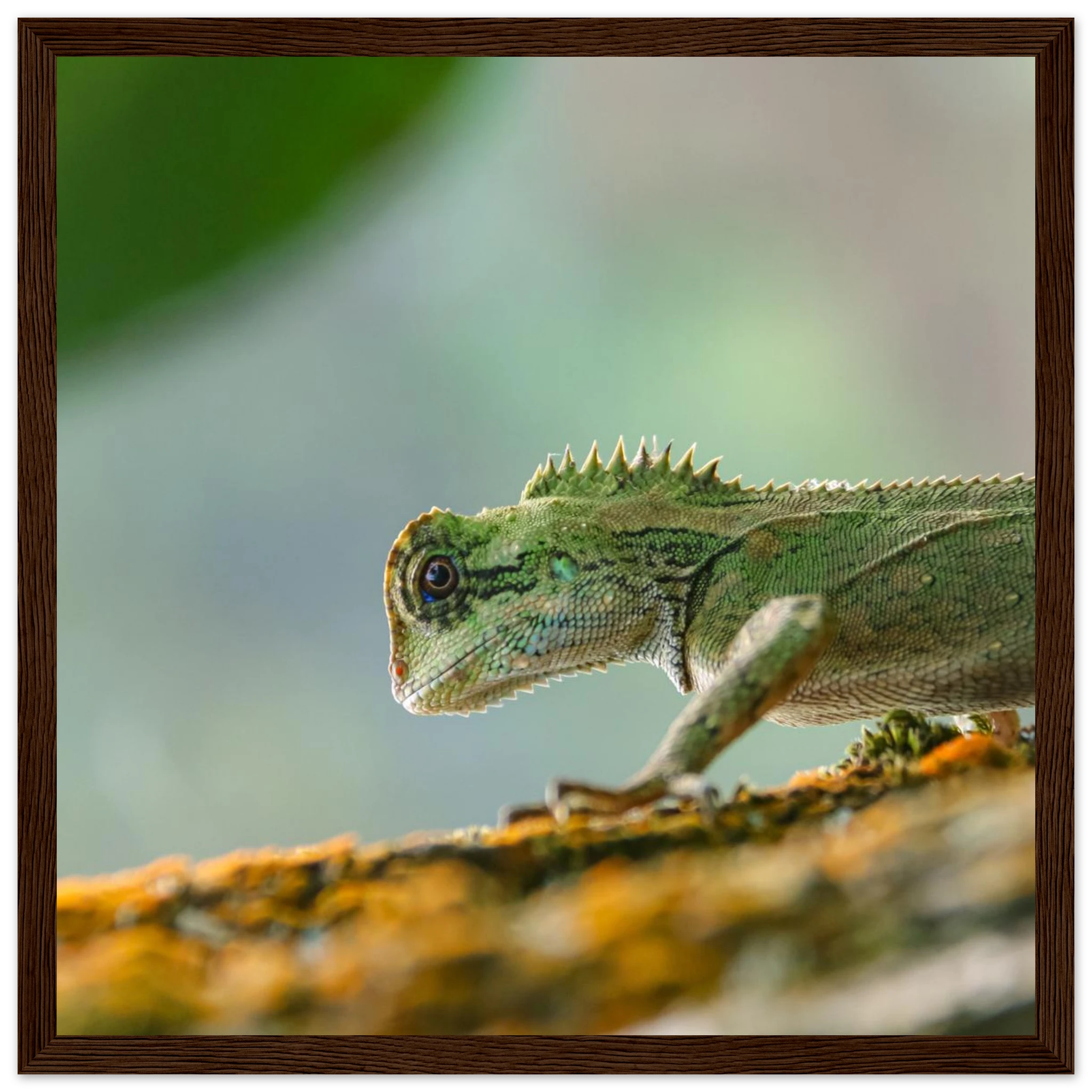 a6d9acf0-32ef-4a44-9992-1a41592fdbec