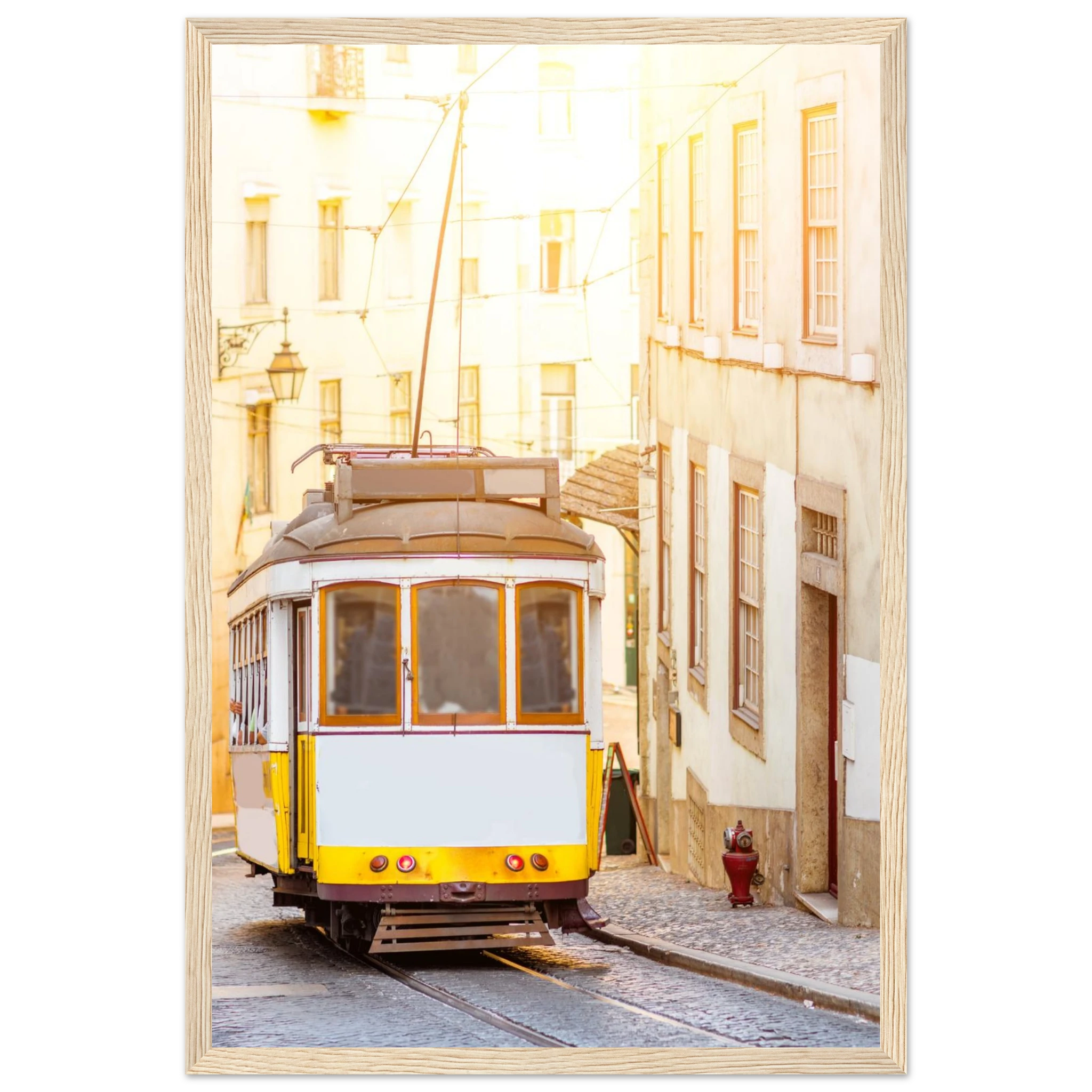 a6e66567-55ae-4bee-b84d-cefbbebdd4df