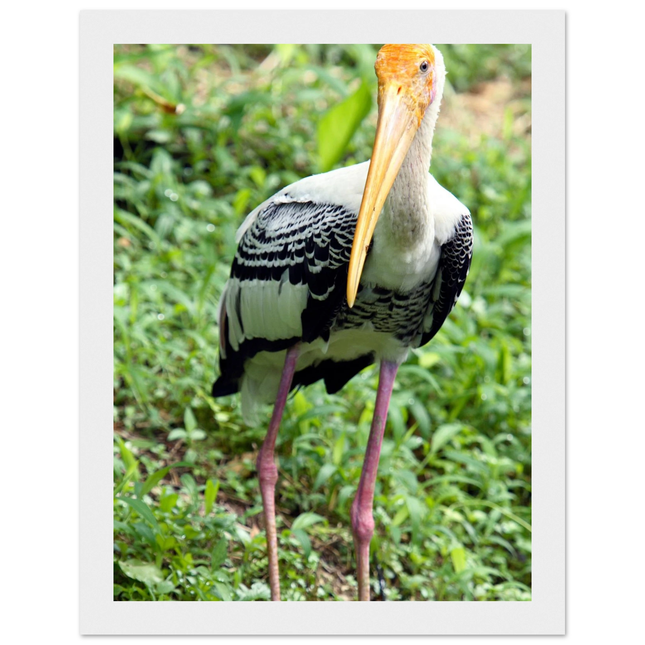 a708a22d-cbc7-4217-b69e-b1ed6bde926f