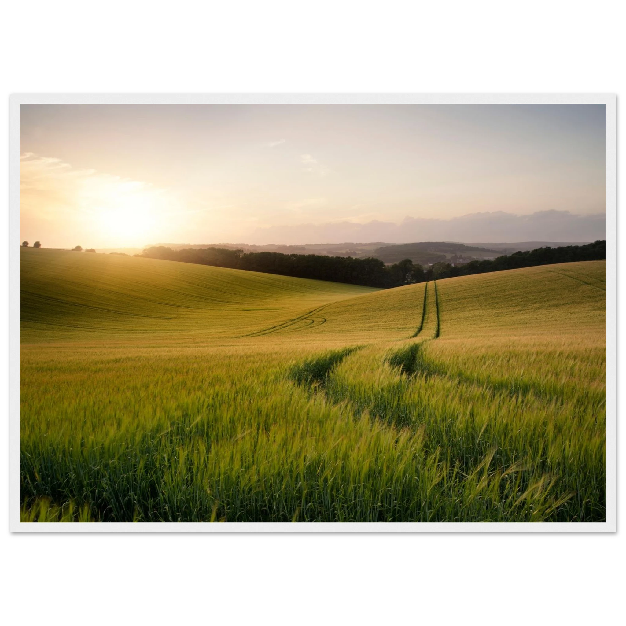 a7221fa9-fd9e-4c11-beed-3507d18bc82c