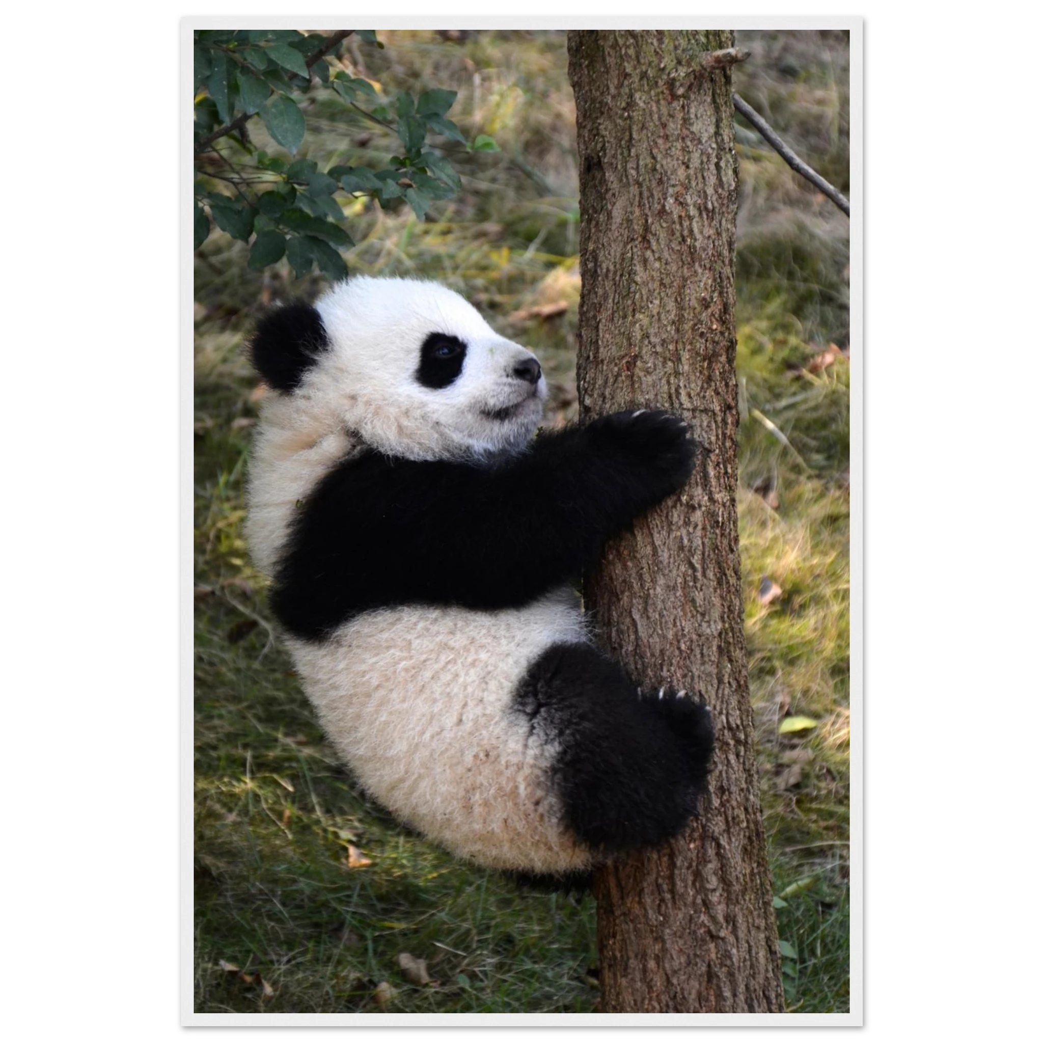 a7391b0a-f891-4381-9cf0-64ef68f5d324