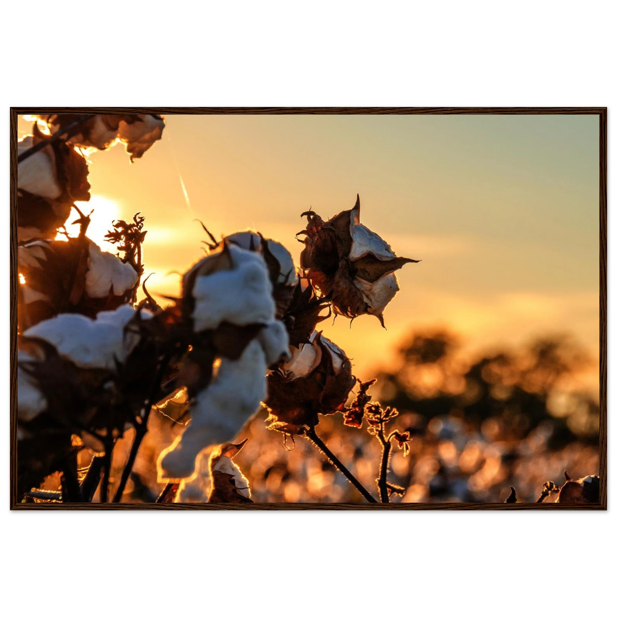 a742a58d-e8ba-4396-a3f7-ae32e29a5912