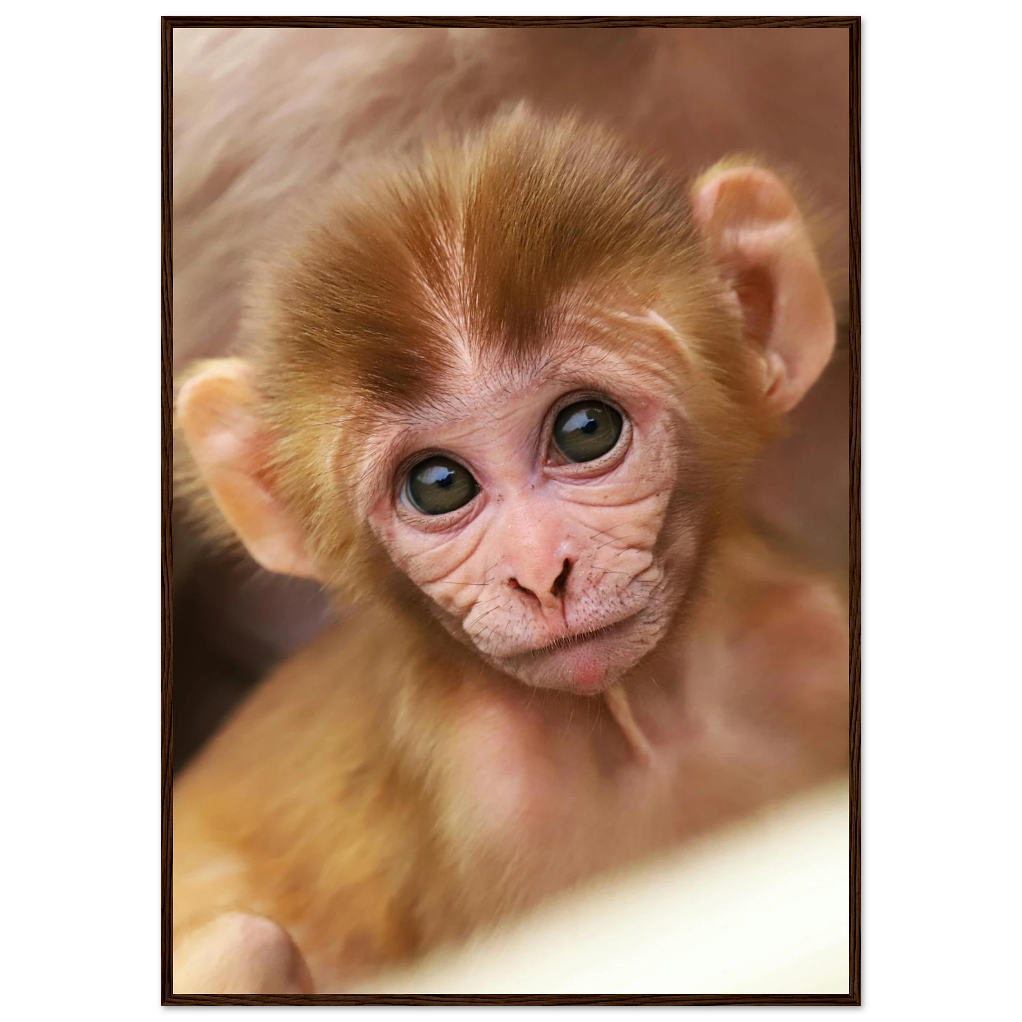 a770fd14-97c0-4d7b-ad16-0e9bf8d3e55b