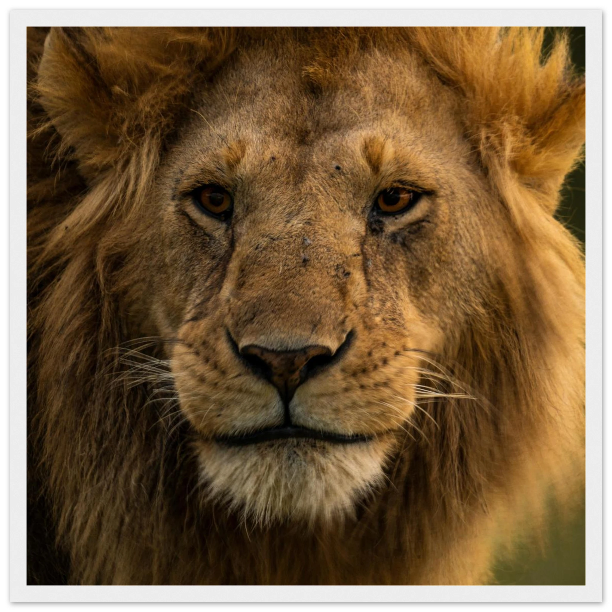 a77195fc-d2e1-462f-a2f4-b6763b1f0d6d