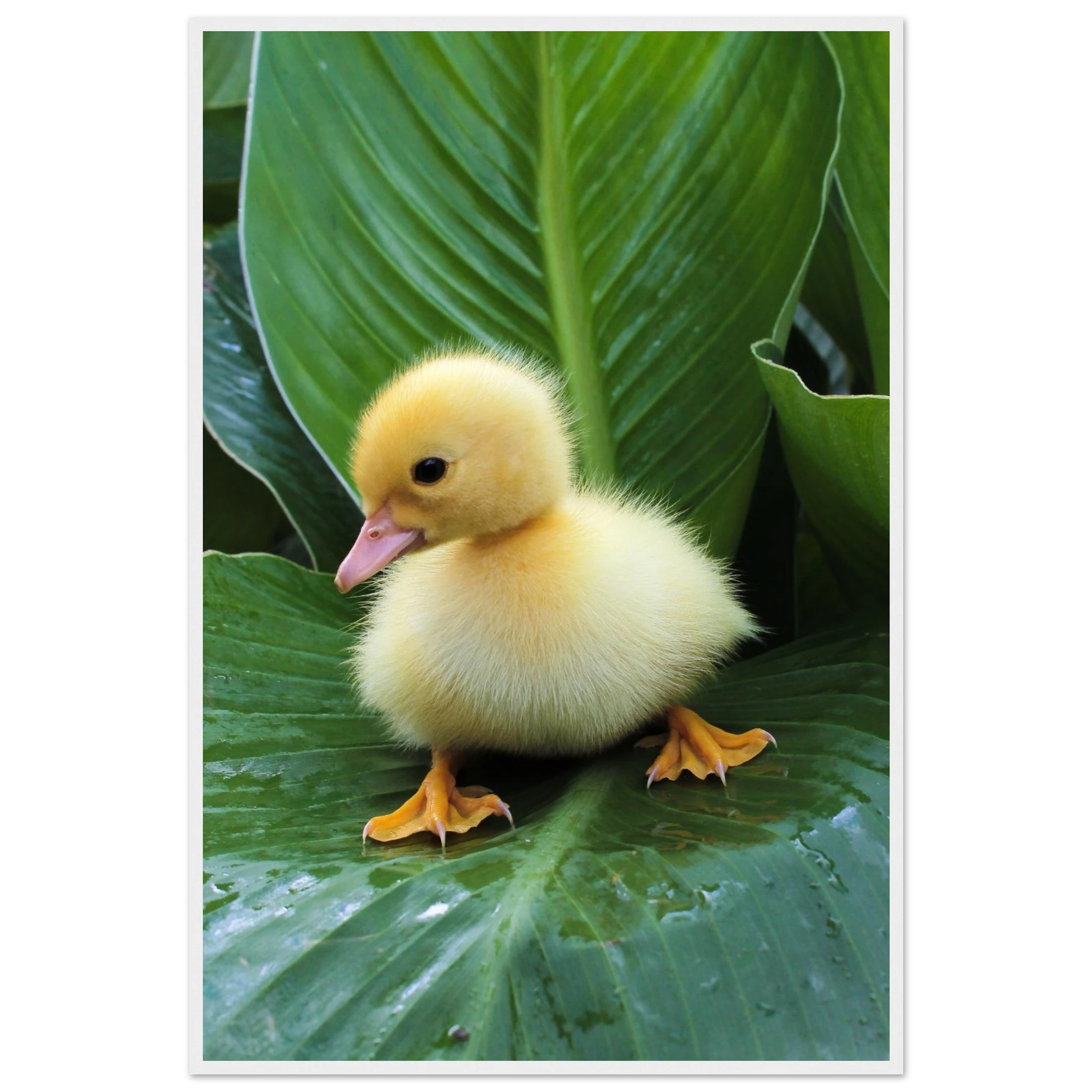 a789b50f-c597-42ae-86cd-ce0932de5d26