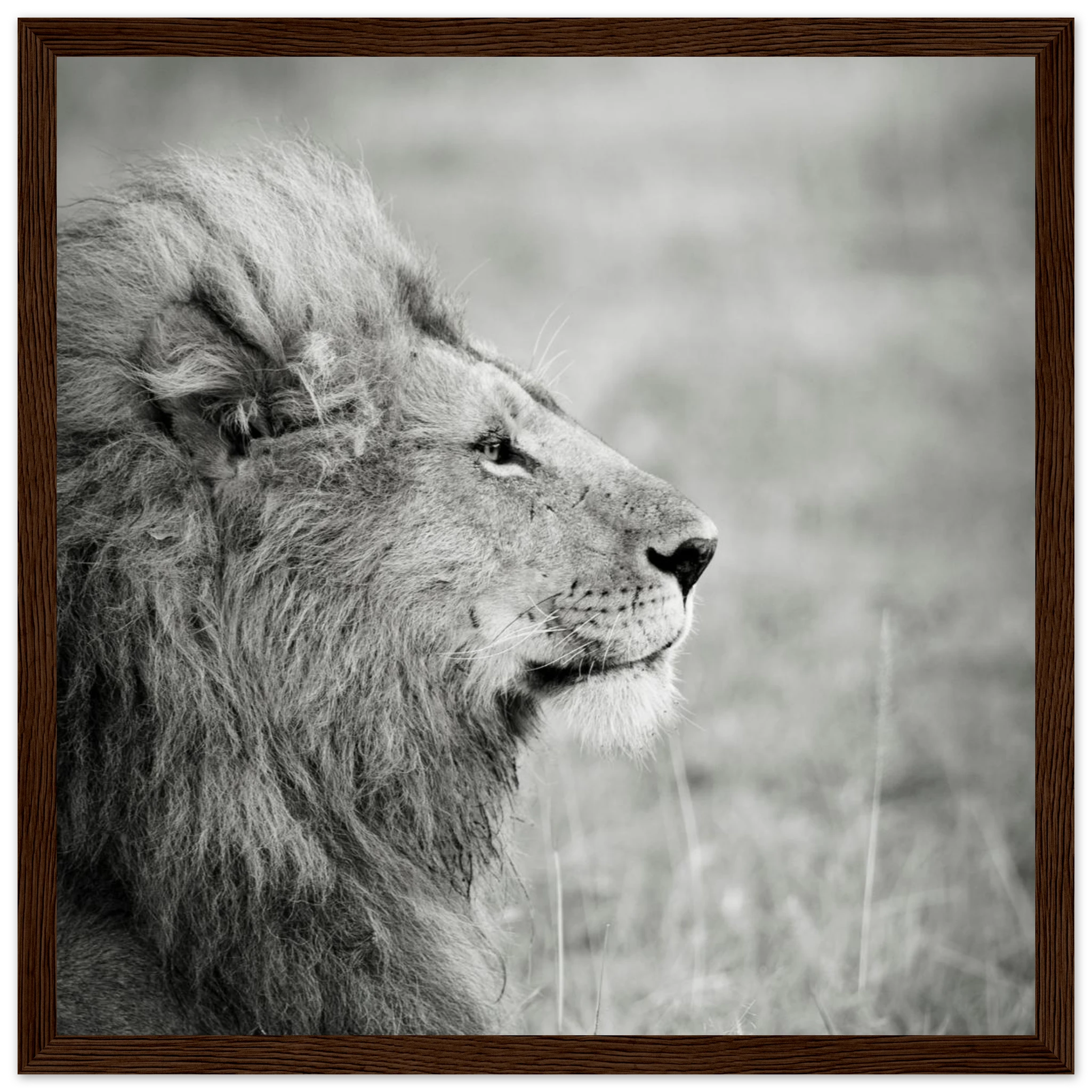 a7ca2c58-3499-46fc-906d-27b393f00d1b