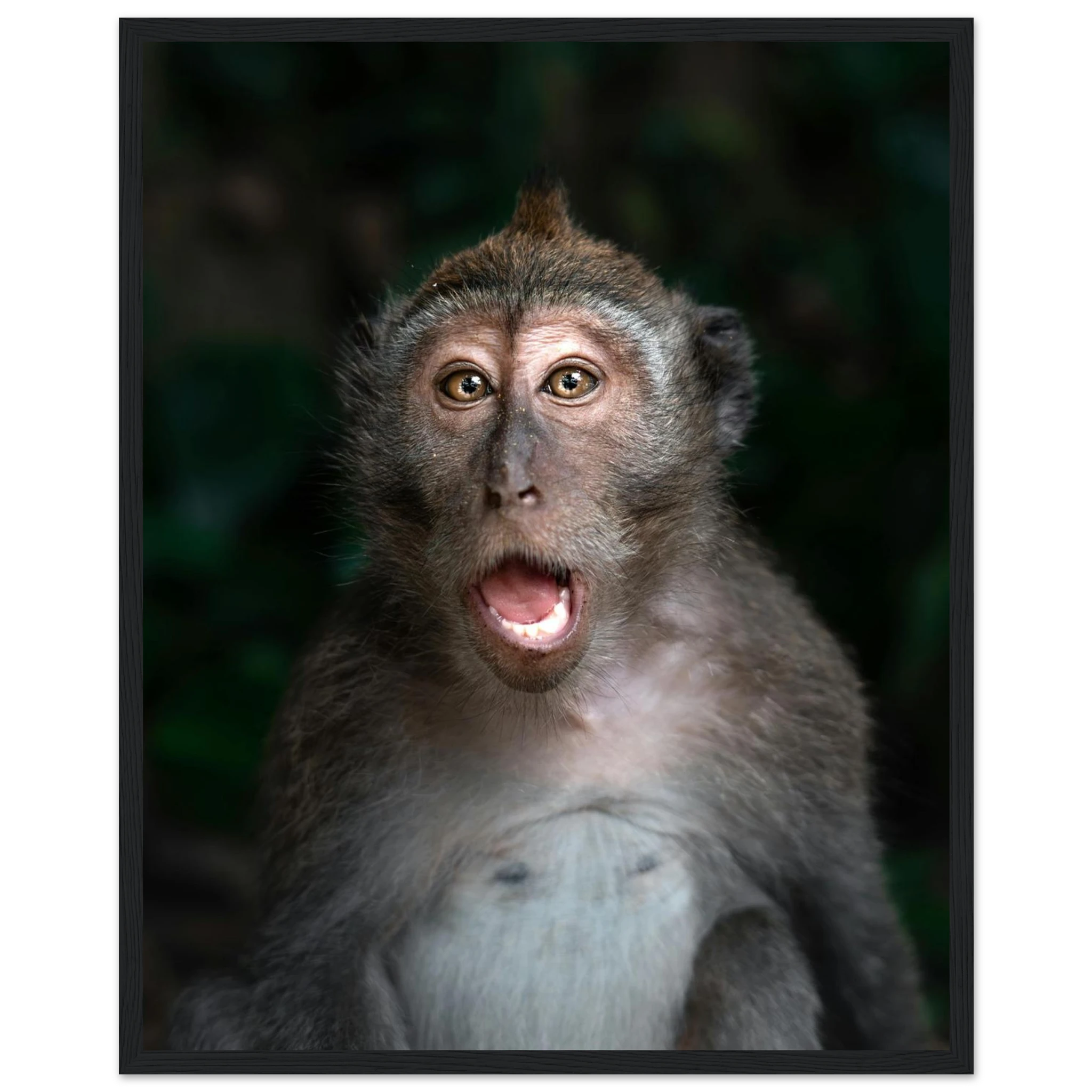 a7e2c8cf-fb1e-48fc-9c4e-00d63ce3ed33