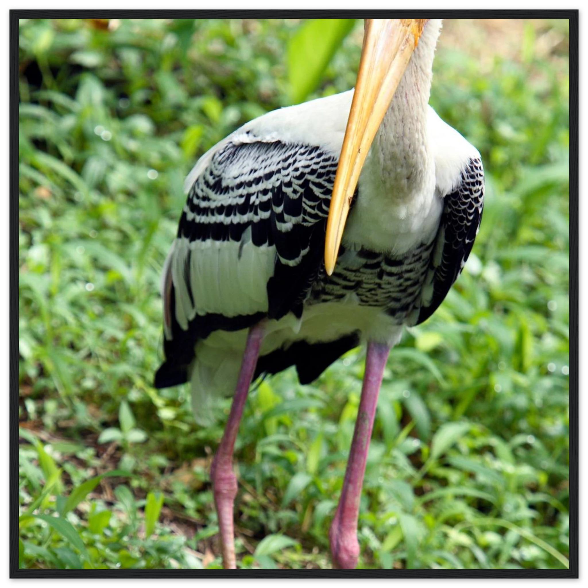 a81c4d51-e0a2-4db4-83c5-278ce662db82