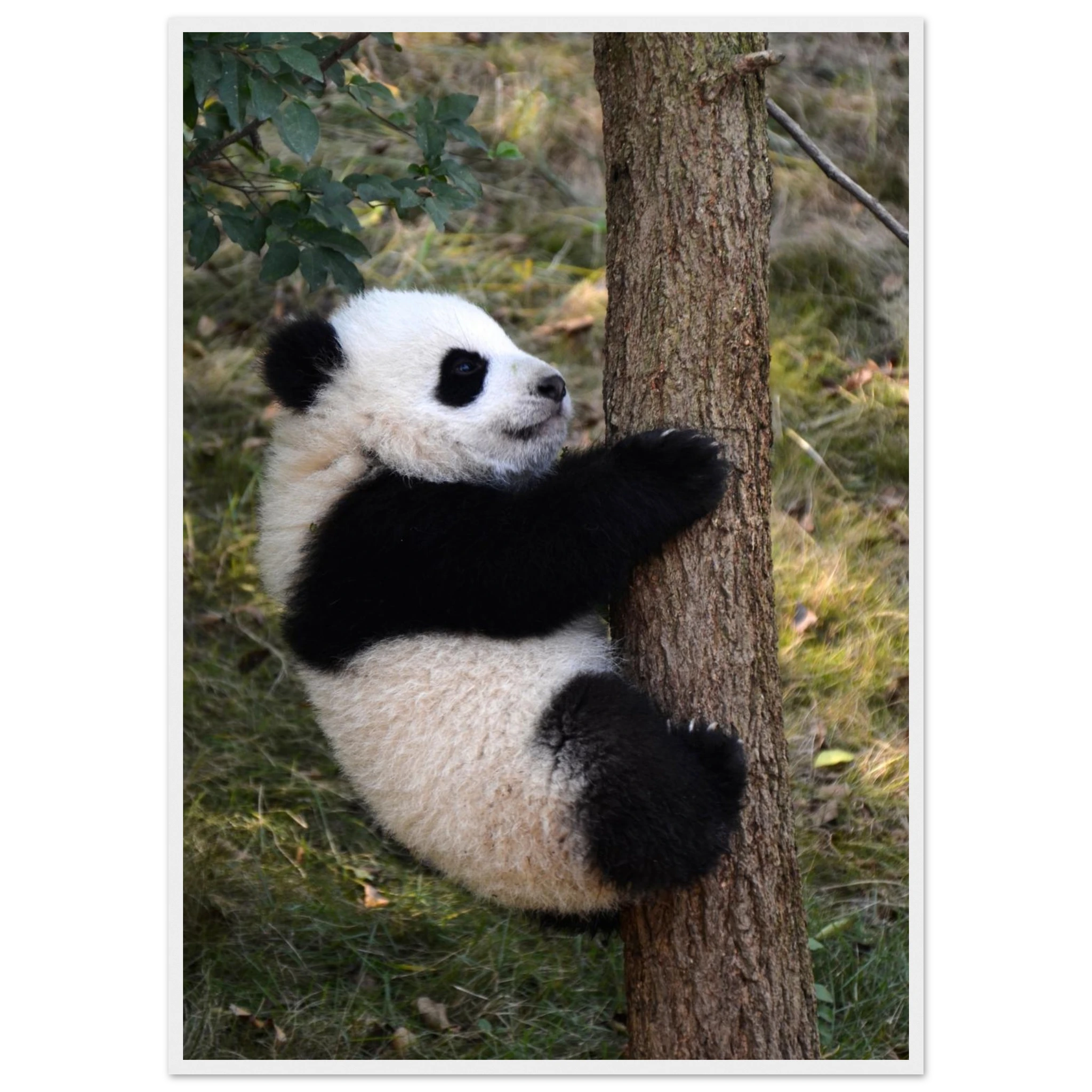 a8318dd7-a52f-47c2-a716-4bb274f262dd