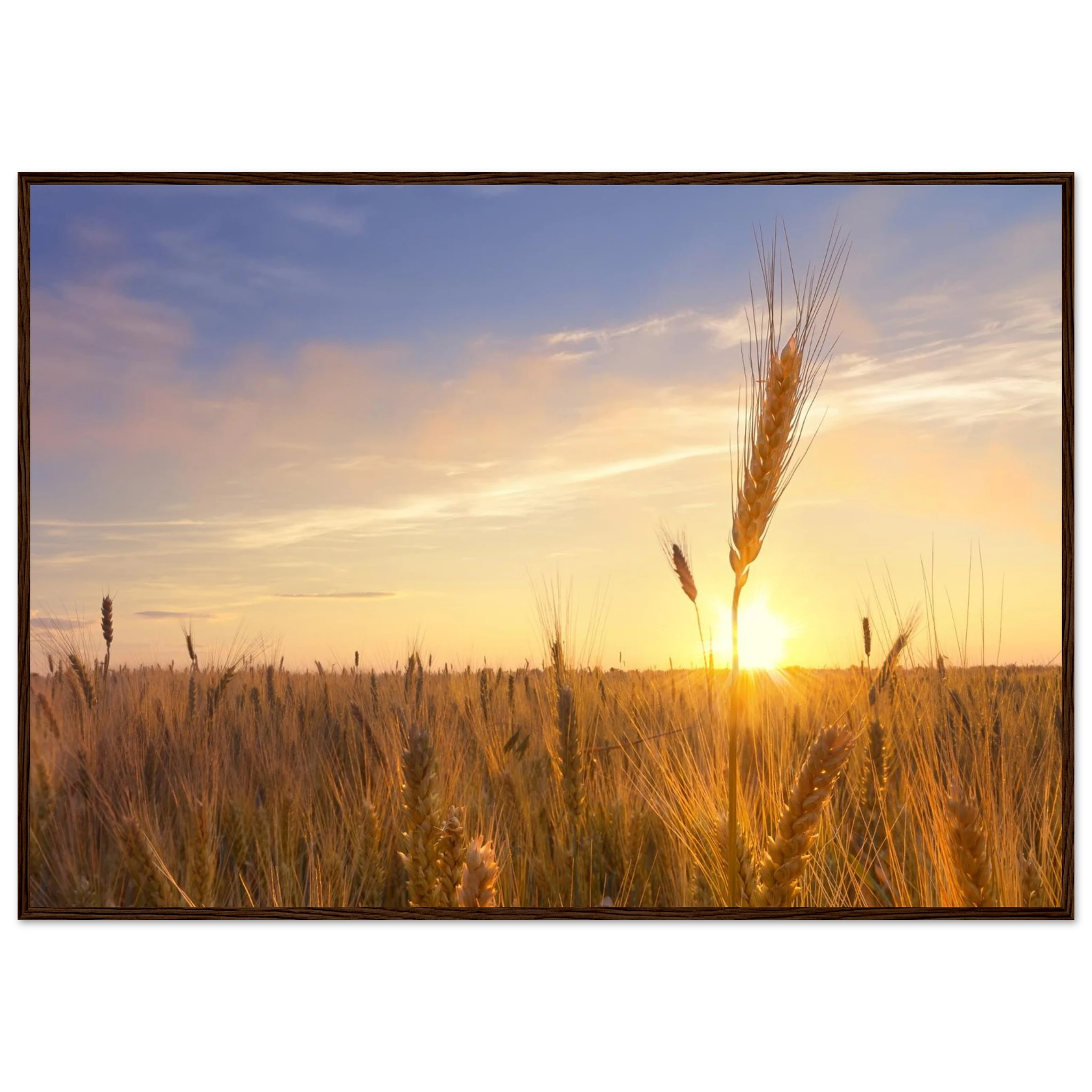 a835e924-92bf-4ac6-99bd-c39bf192b795