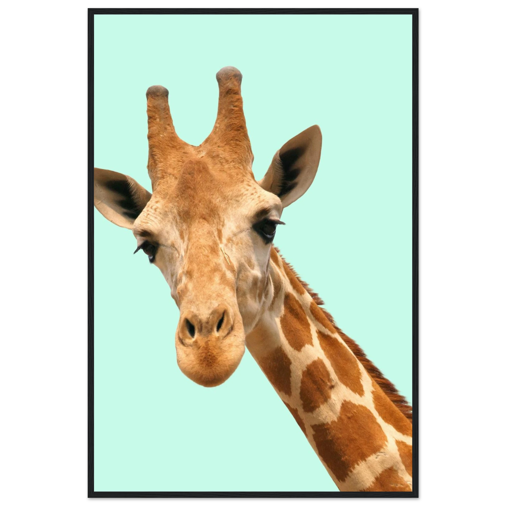 a83aa364-973c-4e73-afba-fb5f88f19a1b