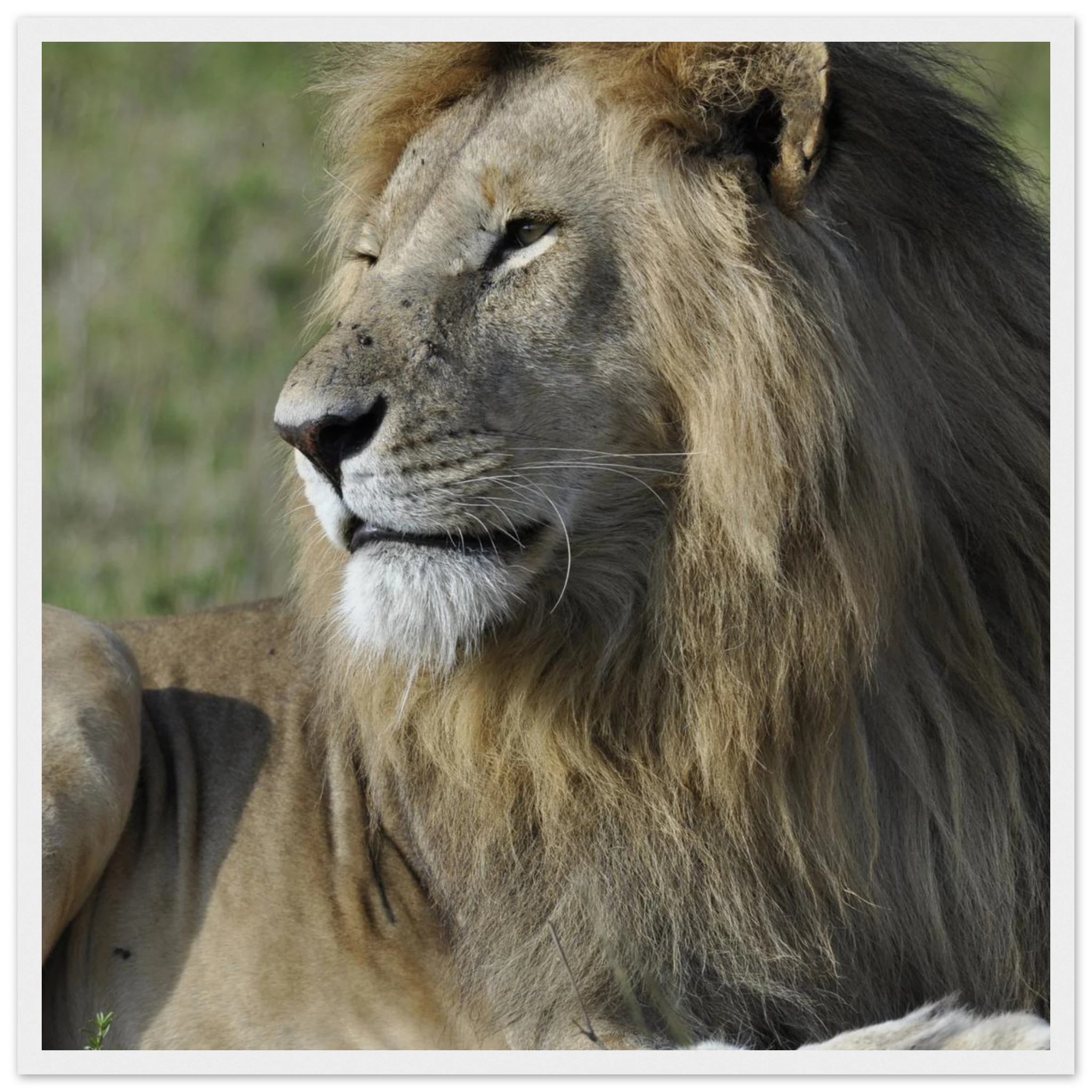 a846ce0c-a721-4e85-a89e-e10f6671c7aa