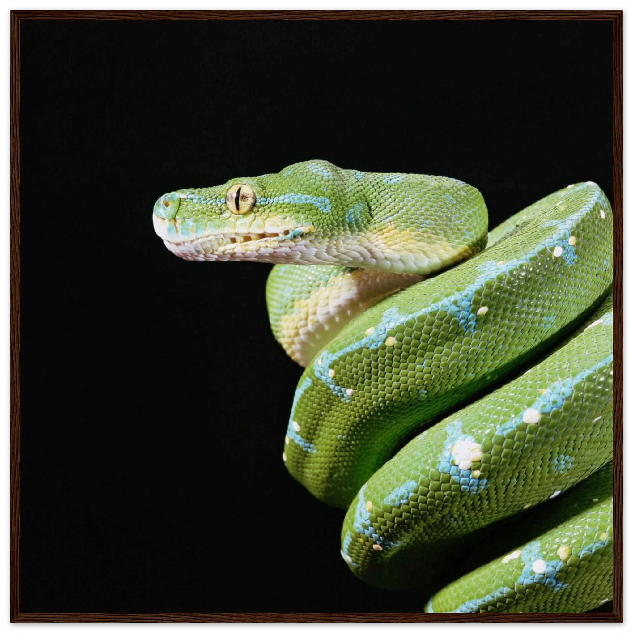 a84bb5ec-cf85-43e7-b244-c24a88c06b0d