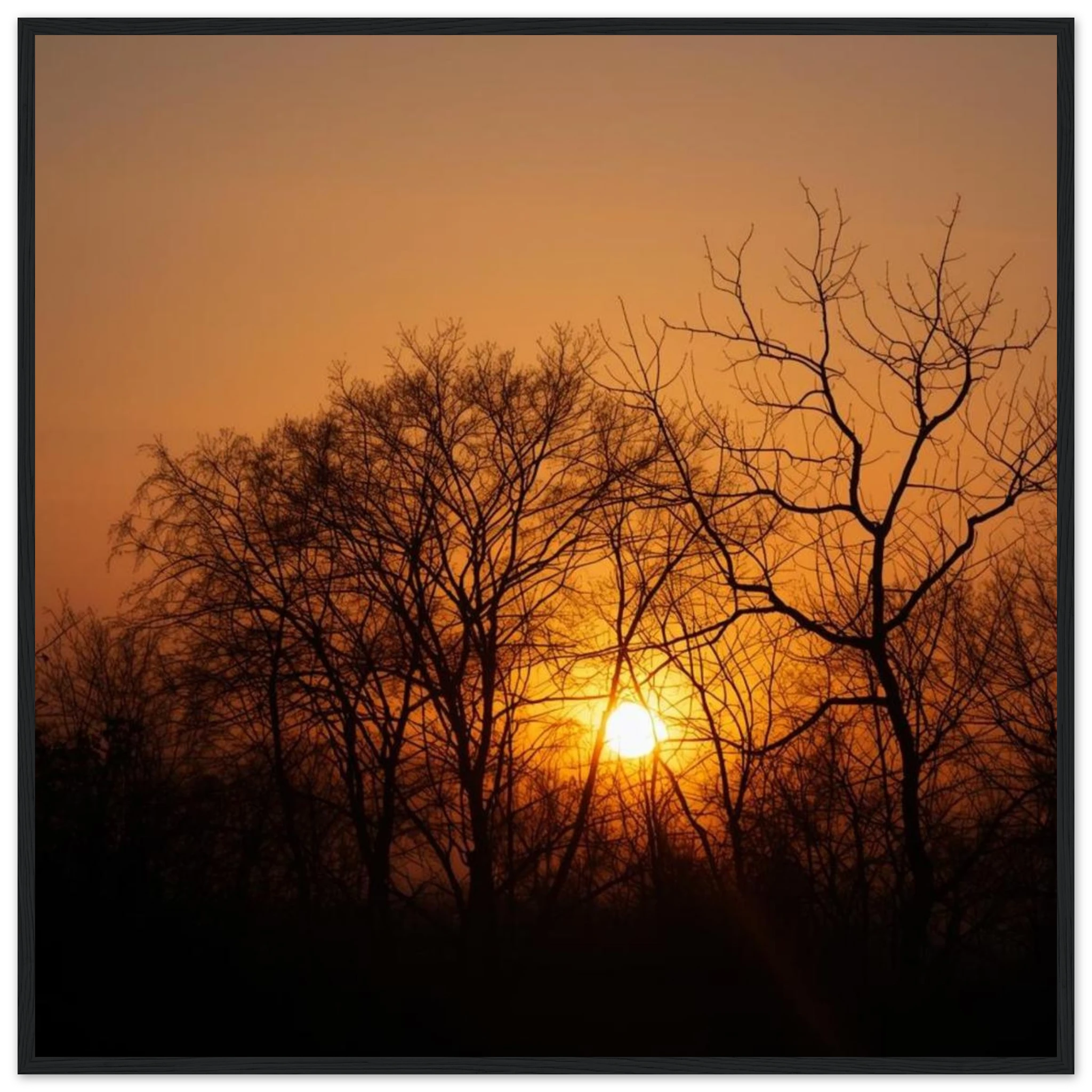 a87df53a-6e45-4b02-8c7e-ed97e988a856