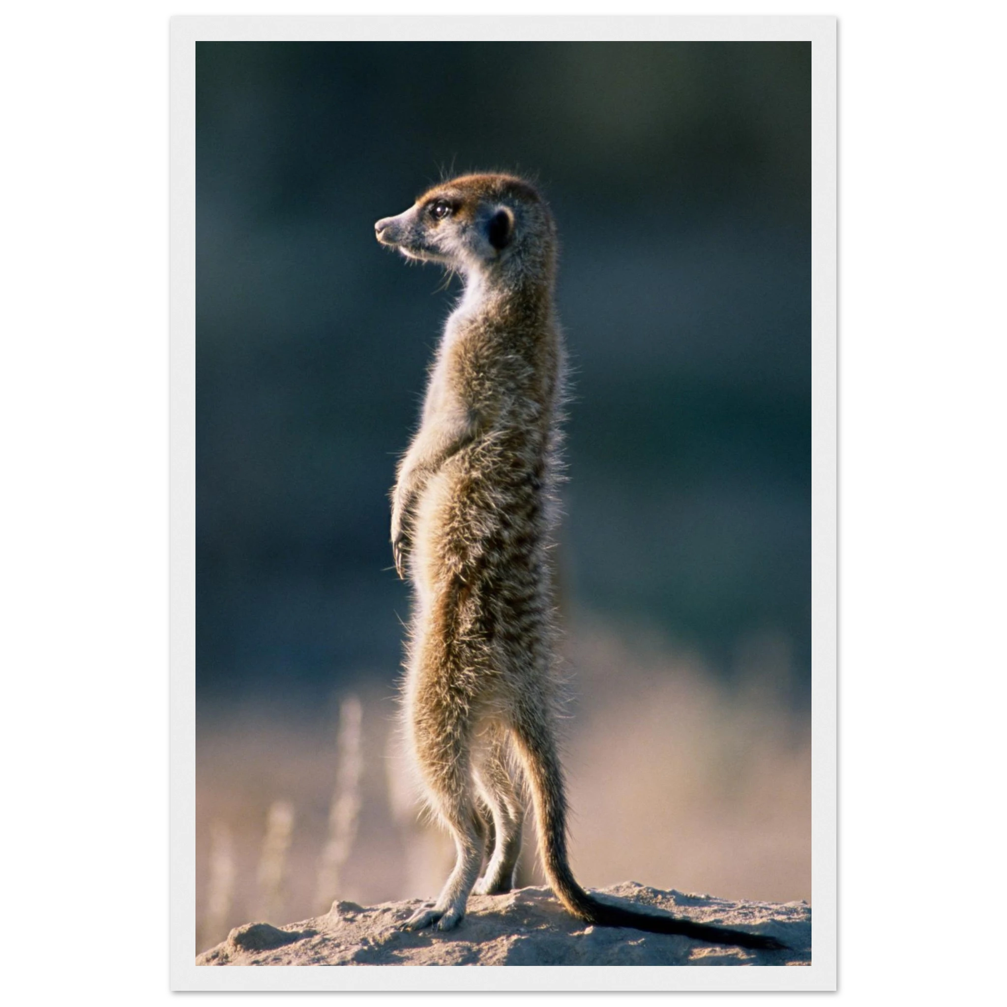 a88cd998-bb2d-4874-b6c0-886a4ab5a329