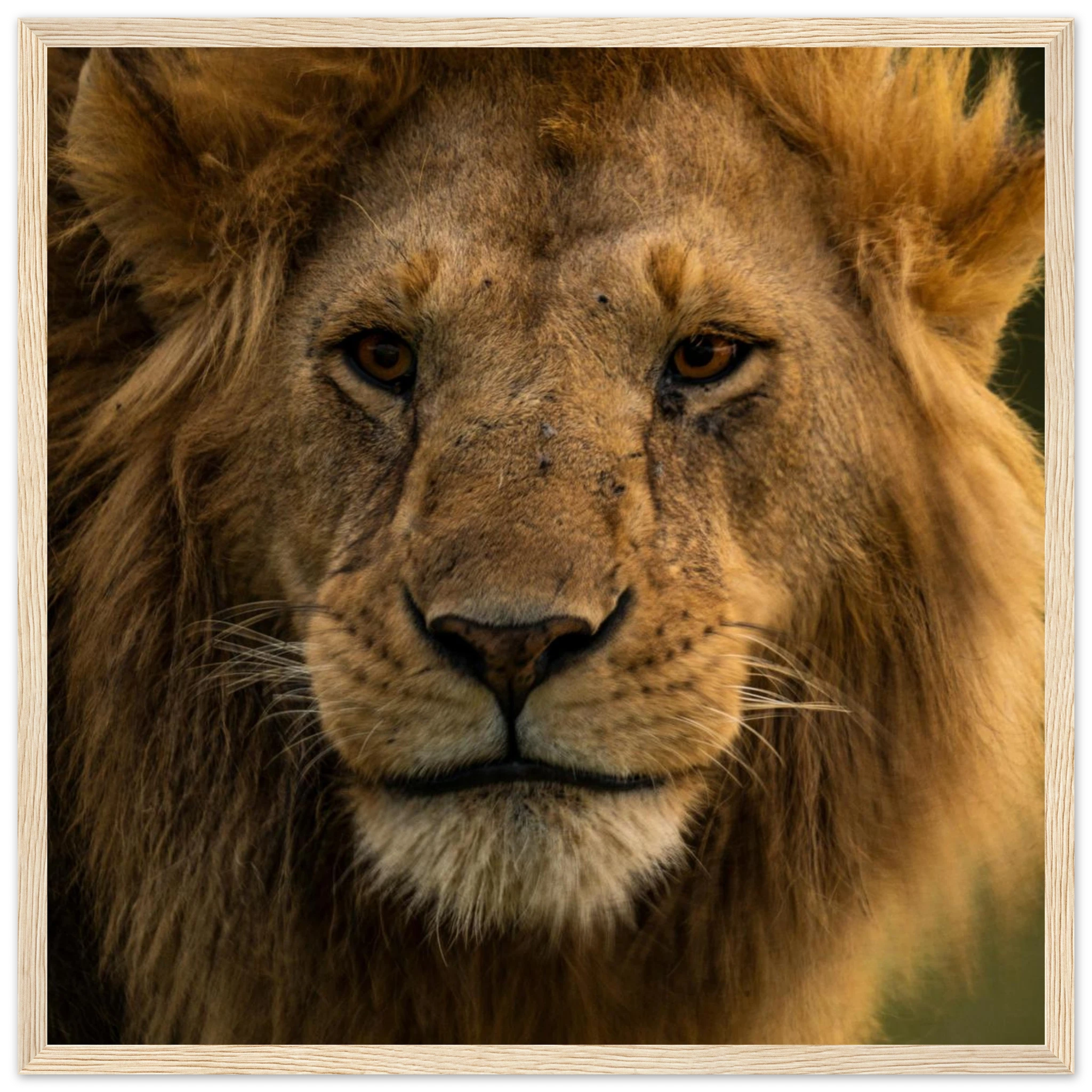 a894c2d0-003e-42f3-896c-a5a2ec7f67cf