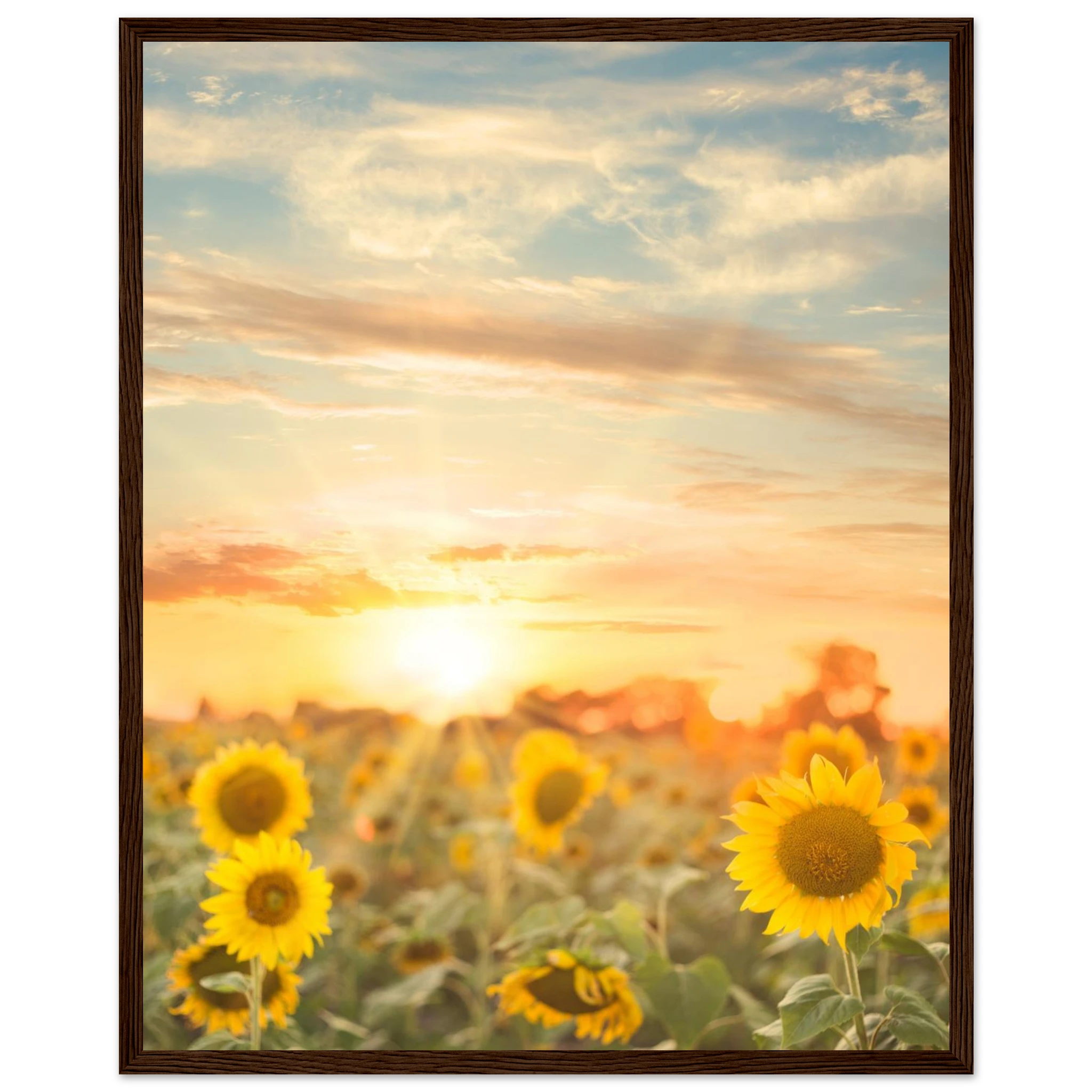 a89a1a46-8c2b-4ccc-955f-bc9c1a9c413e