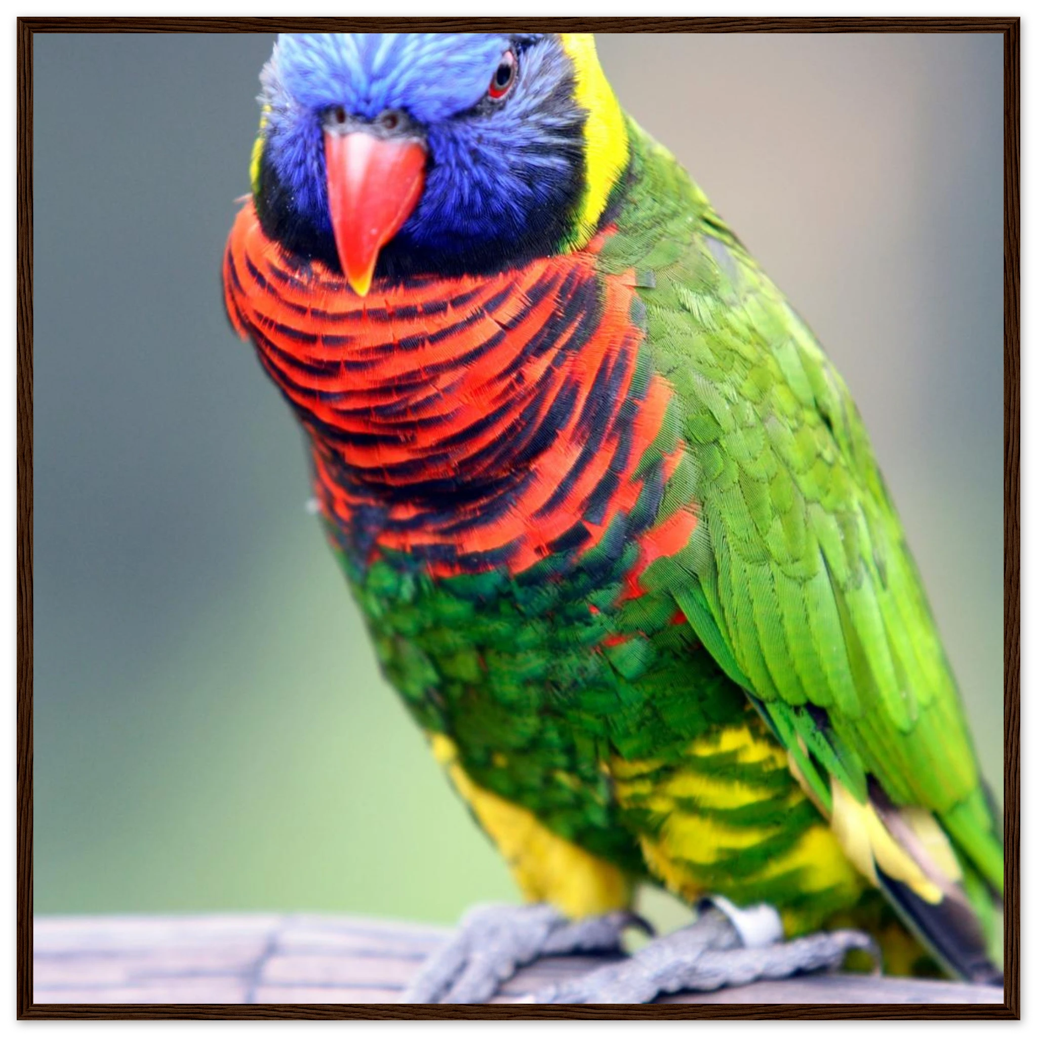 a89b5288-a5b7-4389-b843-c6478976d537