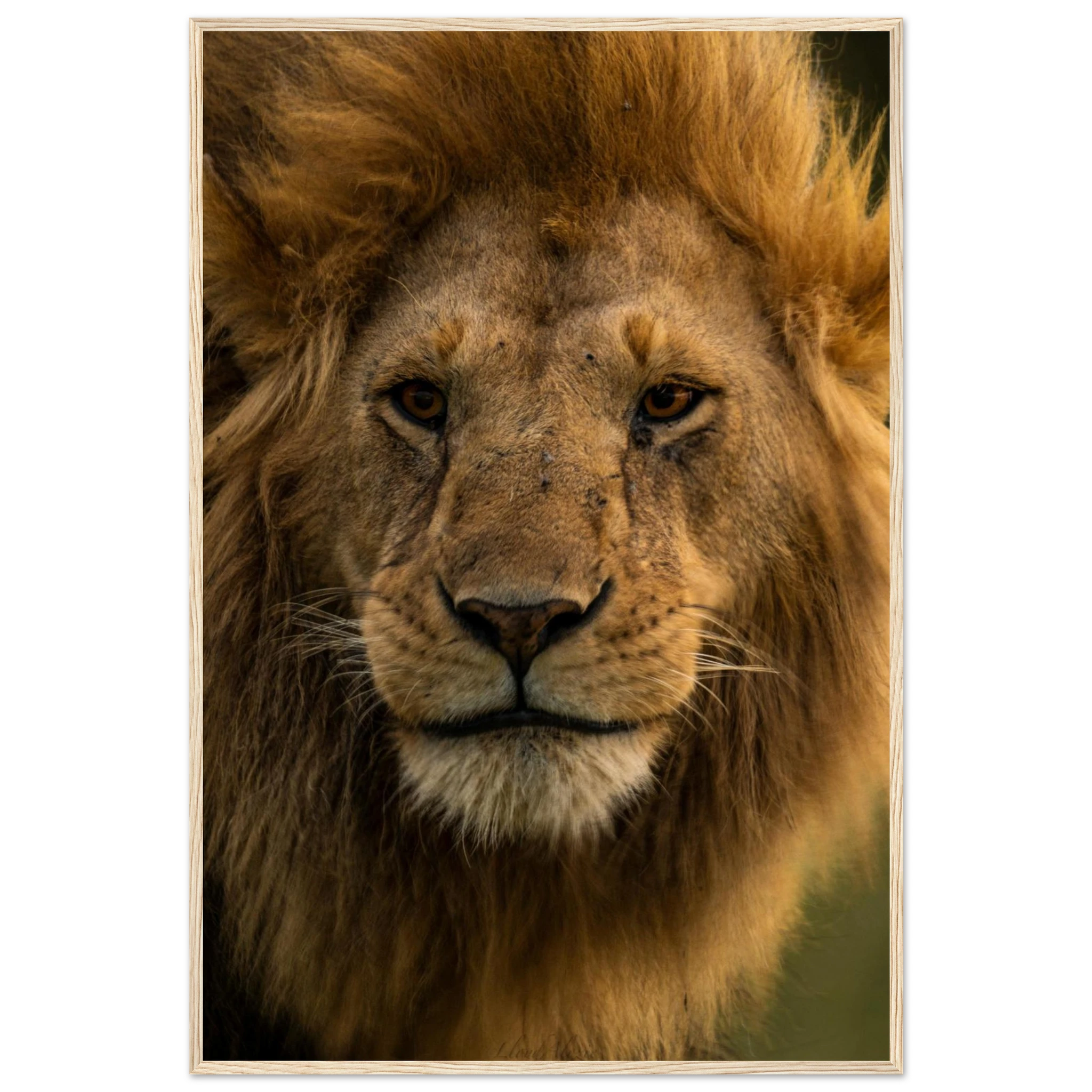 a89f3c68-564b-4f9e-89ca-7f309c590695