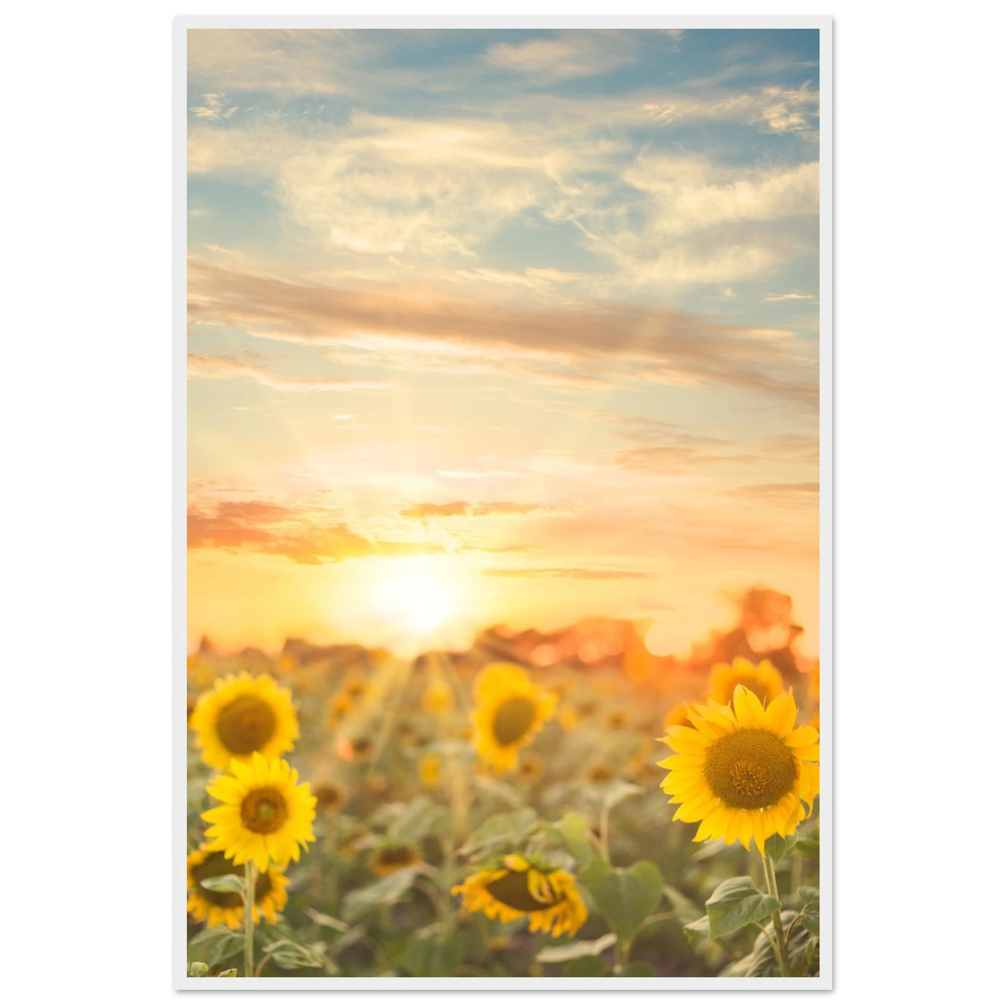 a8a87086-f248-4f49-b7f5-d35cef87f4b9