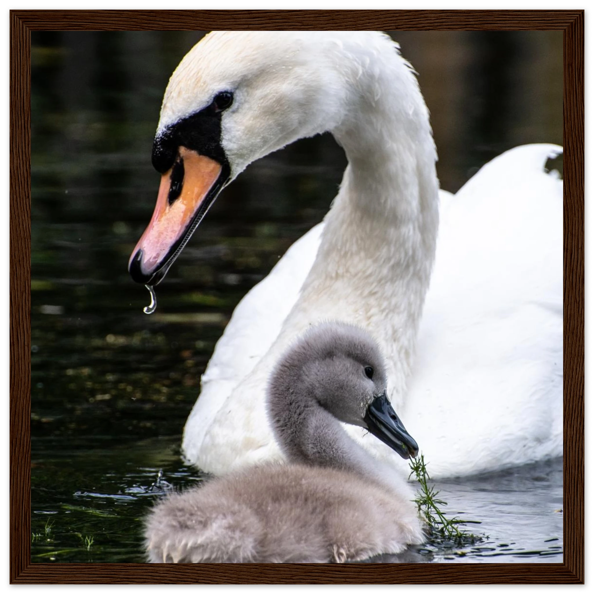 a8aeb954-5d71-4b4c-9edf-552c9700cec7