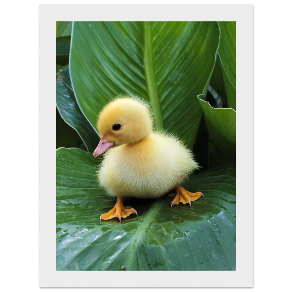 a8bb0982-ad71-4cab-85ac-476a11d11908