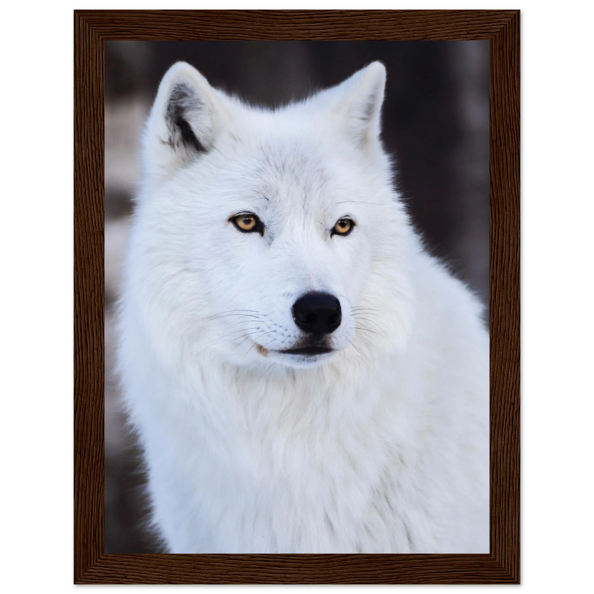 a8e495cf-a73d-44e5-8609-5b95f0057839