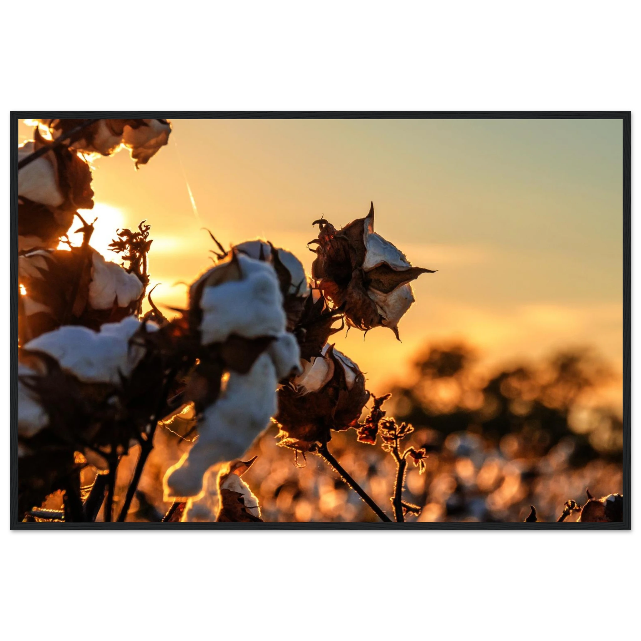 a8efa2ac-7a3c-43cc-9be9-a90fca715fa6