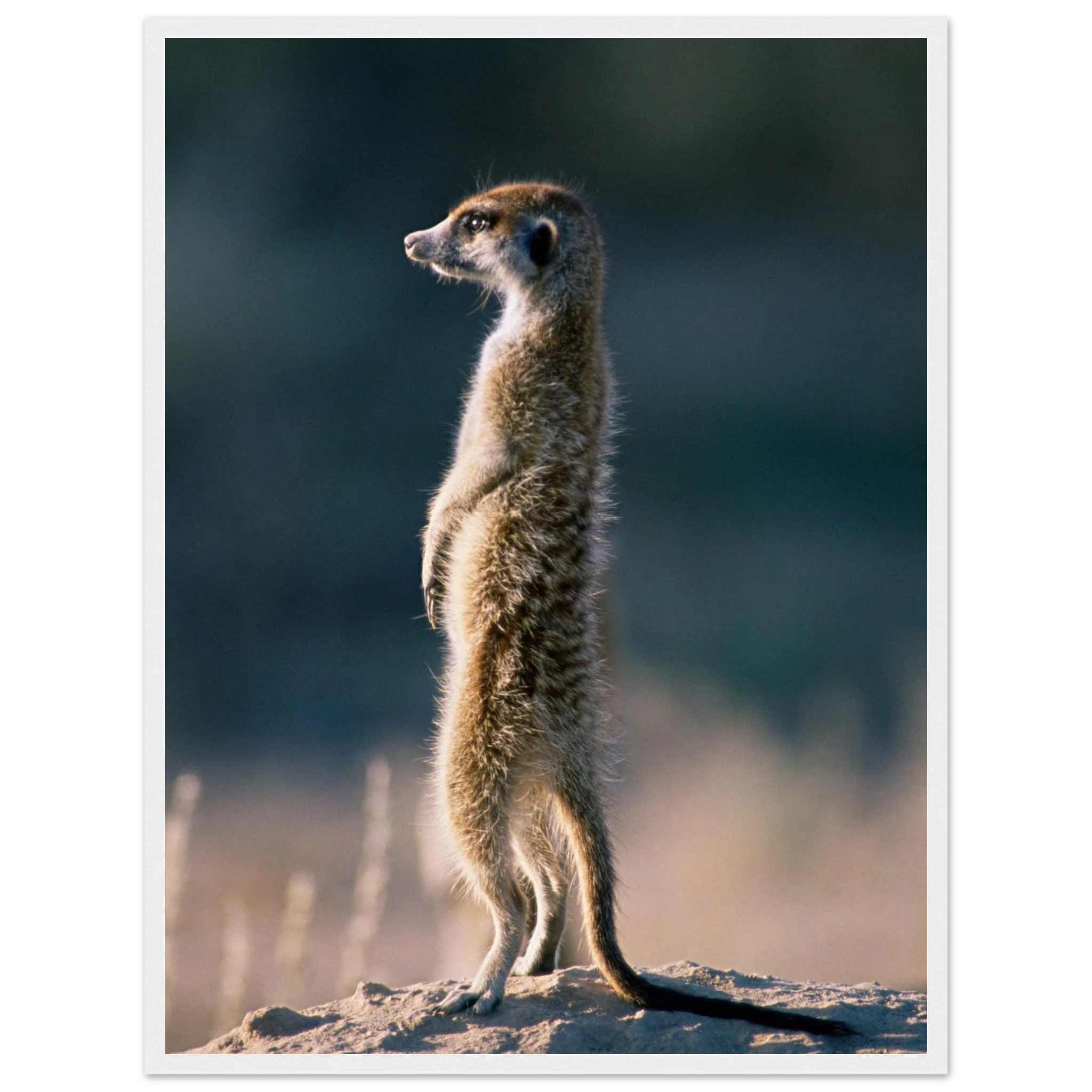 a8f77a1f-2f86-45c3-947a-2d78485b9dd0