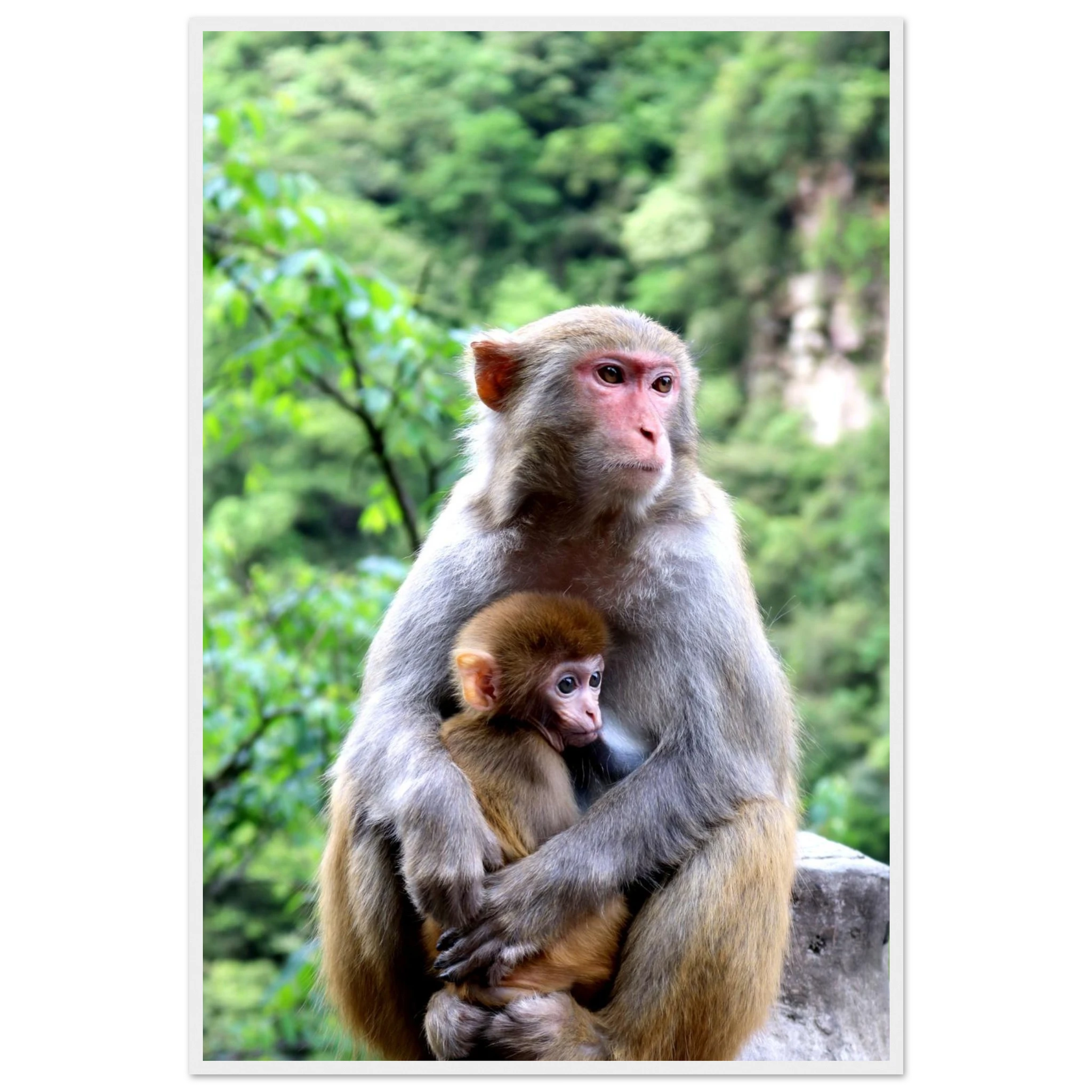 a8f7f723-1334-413f-b9ef-bb0a65fa0468