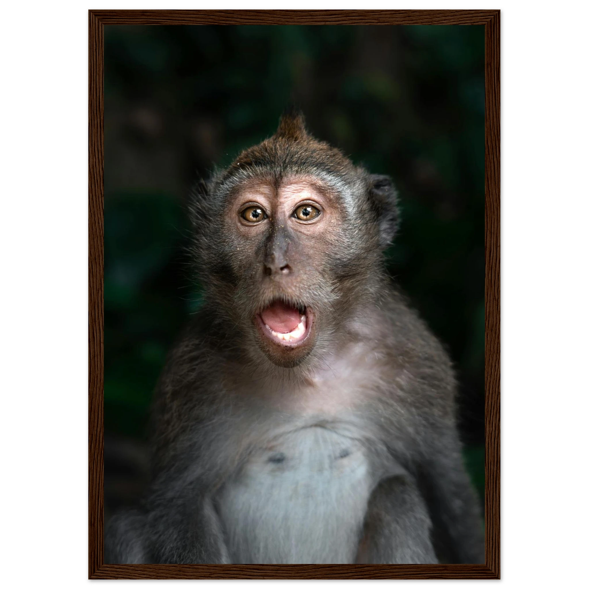 a8fbed32-cce1-4170-bfe2-1b664d2eba71