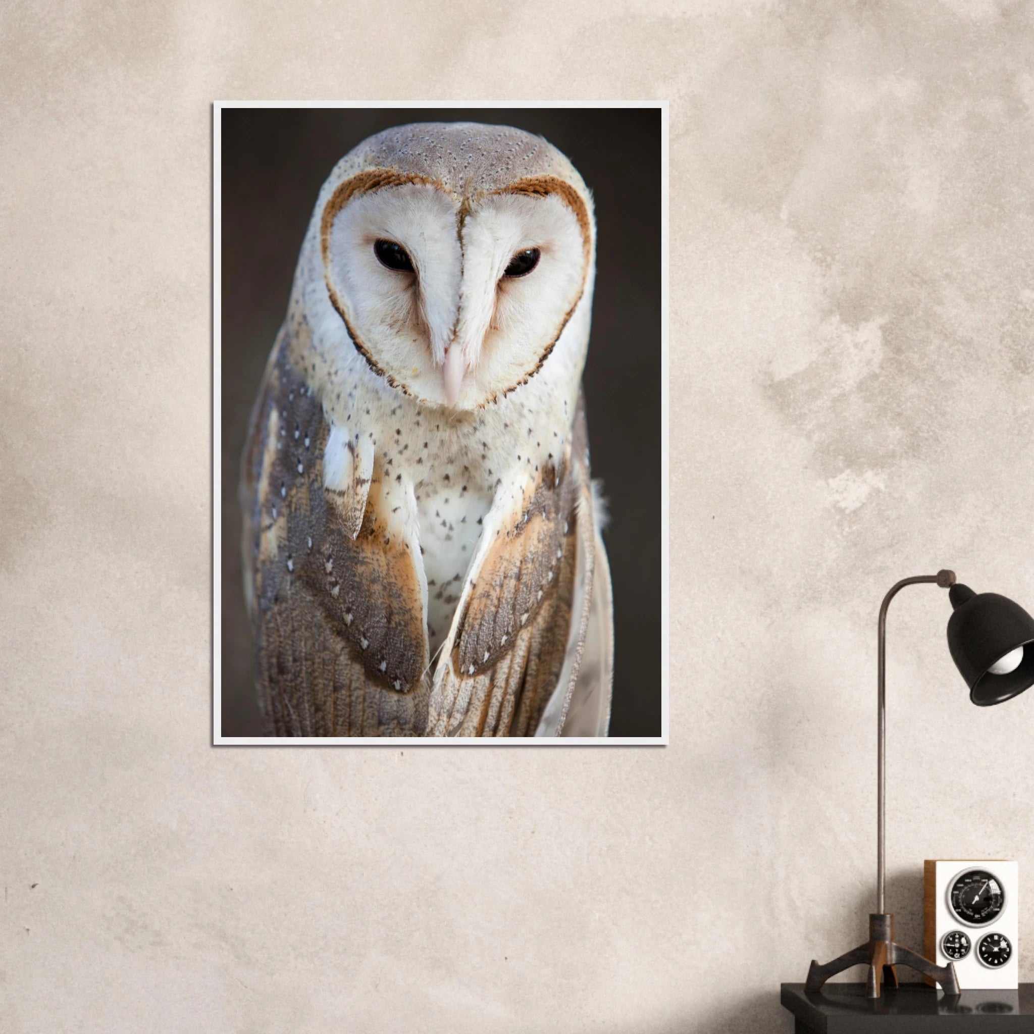 a919ba57-6cf3-4cc2-ab46-a0644894a63b