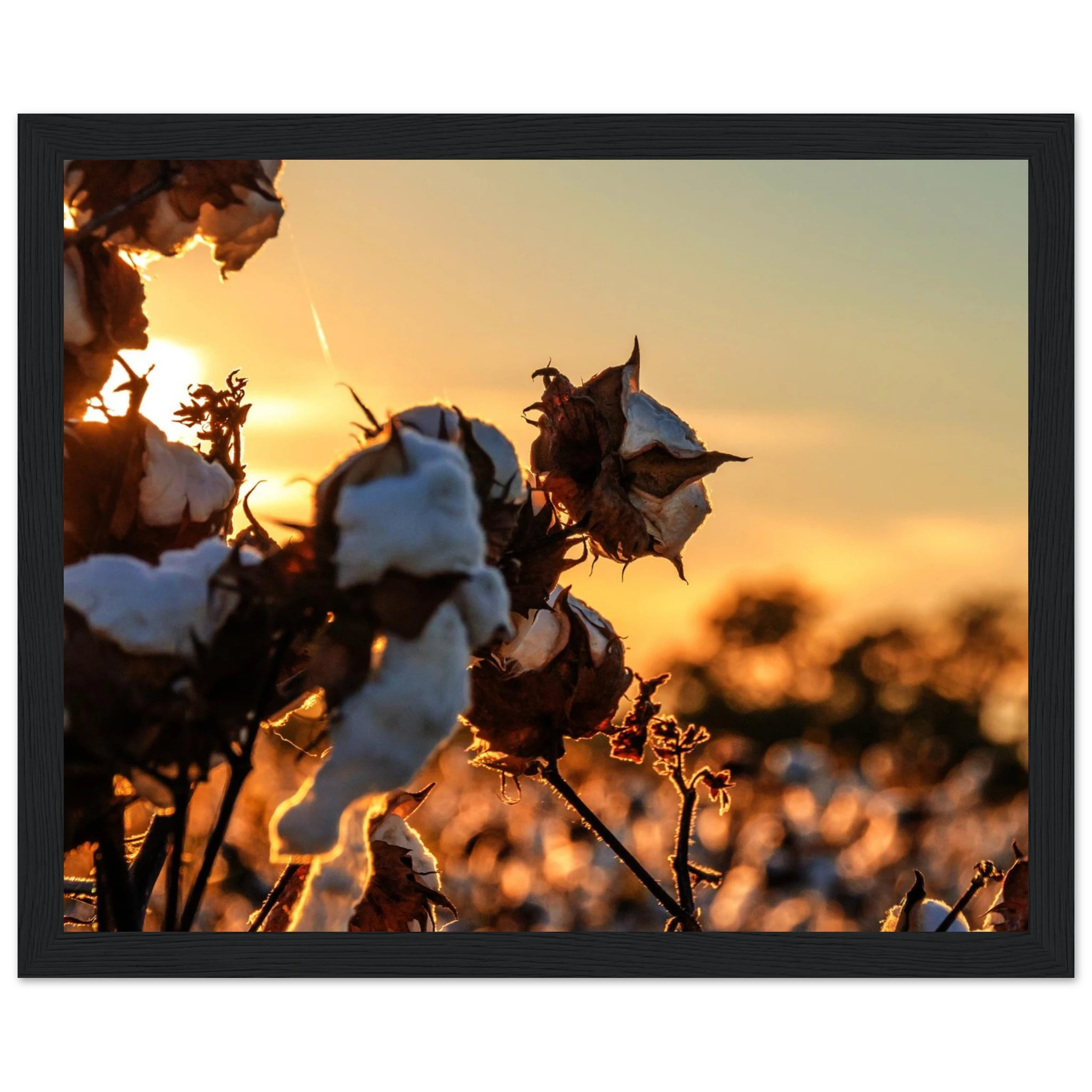 a920965a-8b9b-46b5-bfbe-f62463049a5a