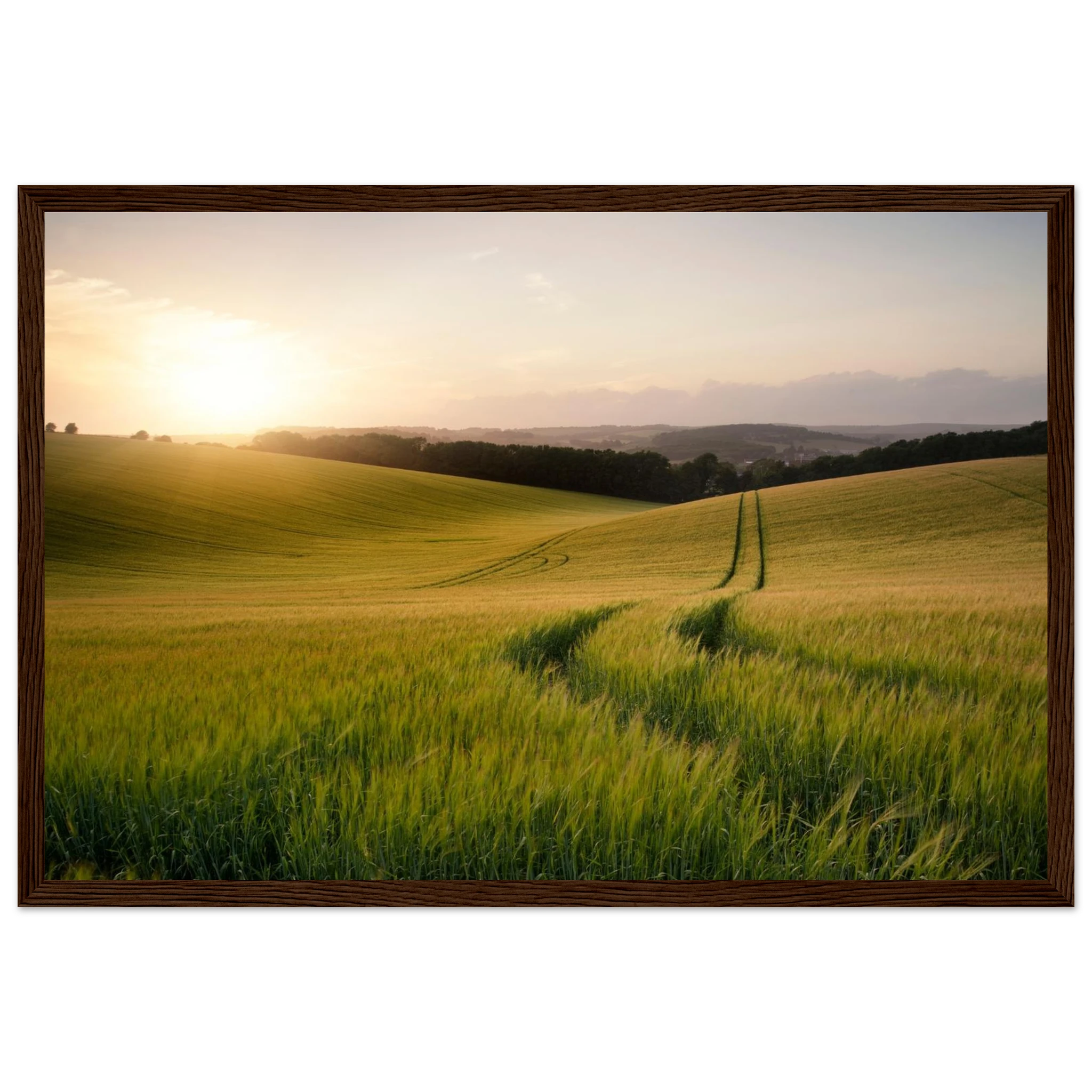 a9288ec2-4b3c-4e34-aa27-f49345bfd4b6