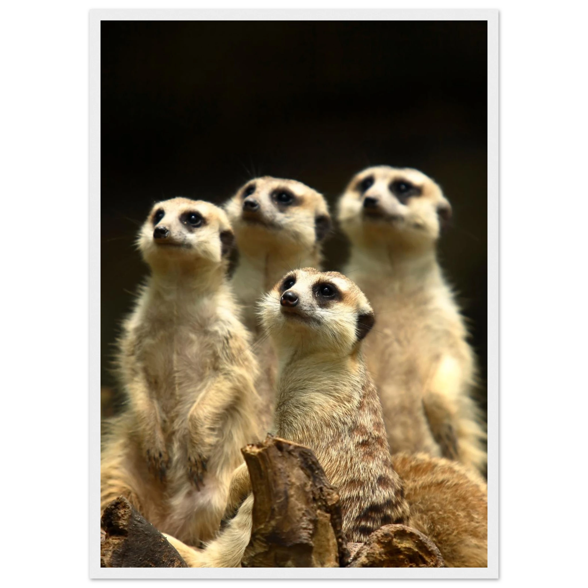 a941fd62-e1f2-493f-b71f-7abd98e6b403