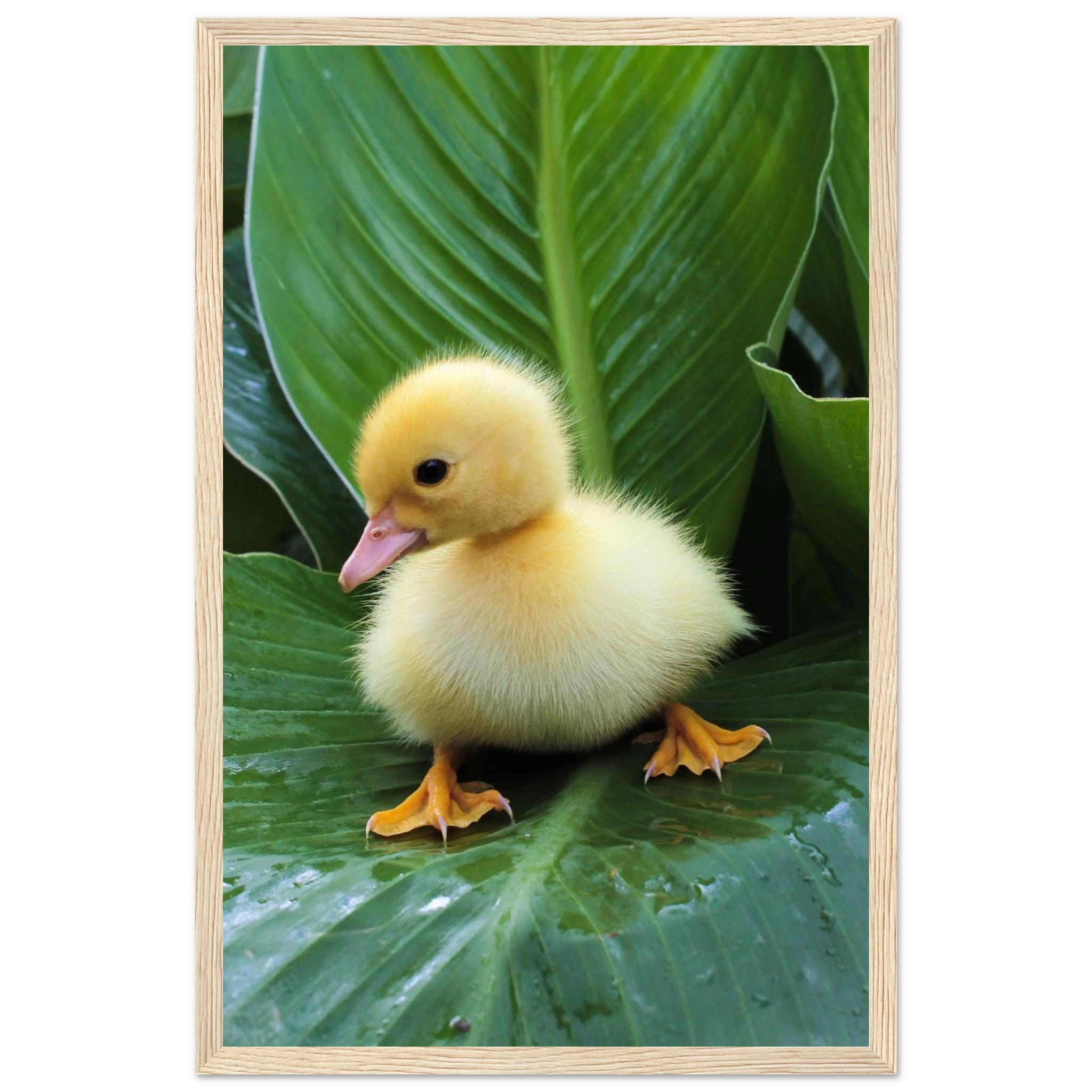 a9479d36-e90b-486a-9d72-2ee8dd5ce256