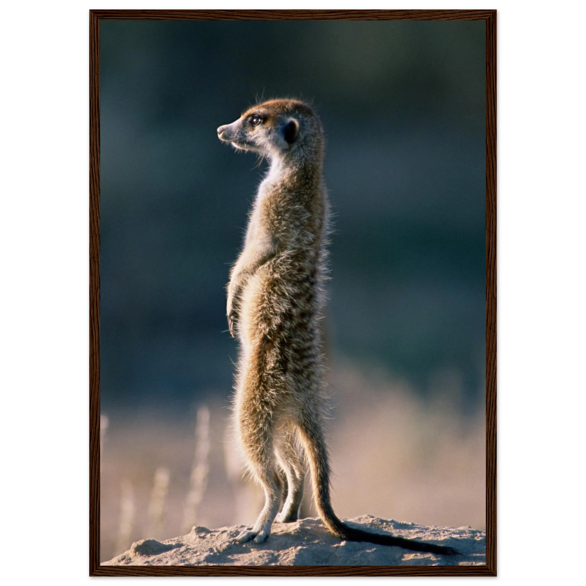 a956542f-4d48-4f08-9ee4-d667e6406353