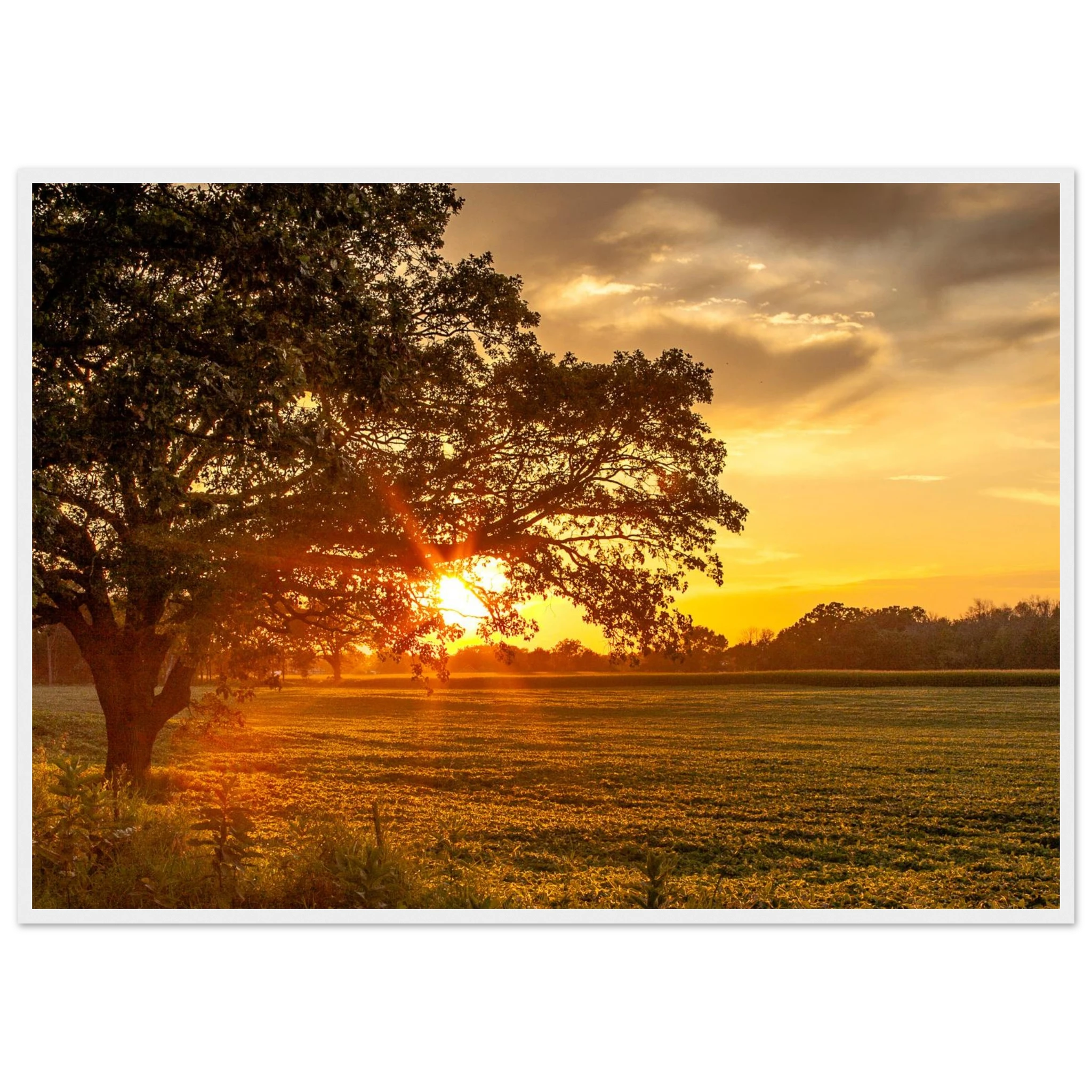 a96d66be-02b2-454e-9356-c68997543297