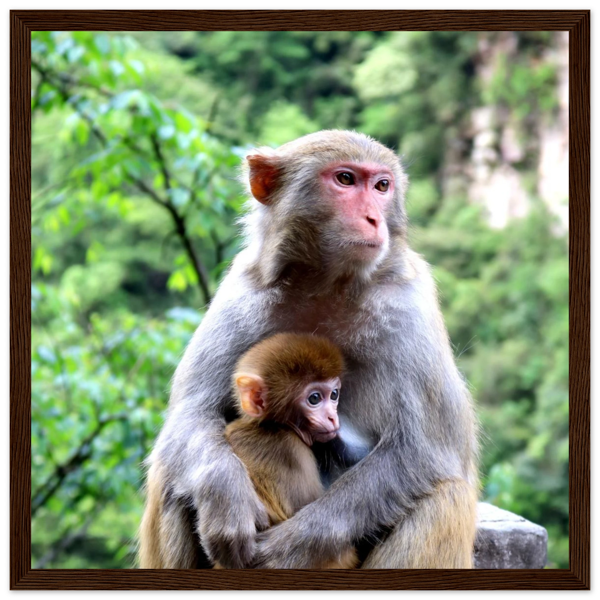 a9714622-aacf-494c-8e1f-833de0750722