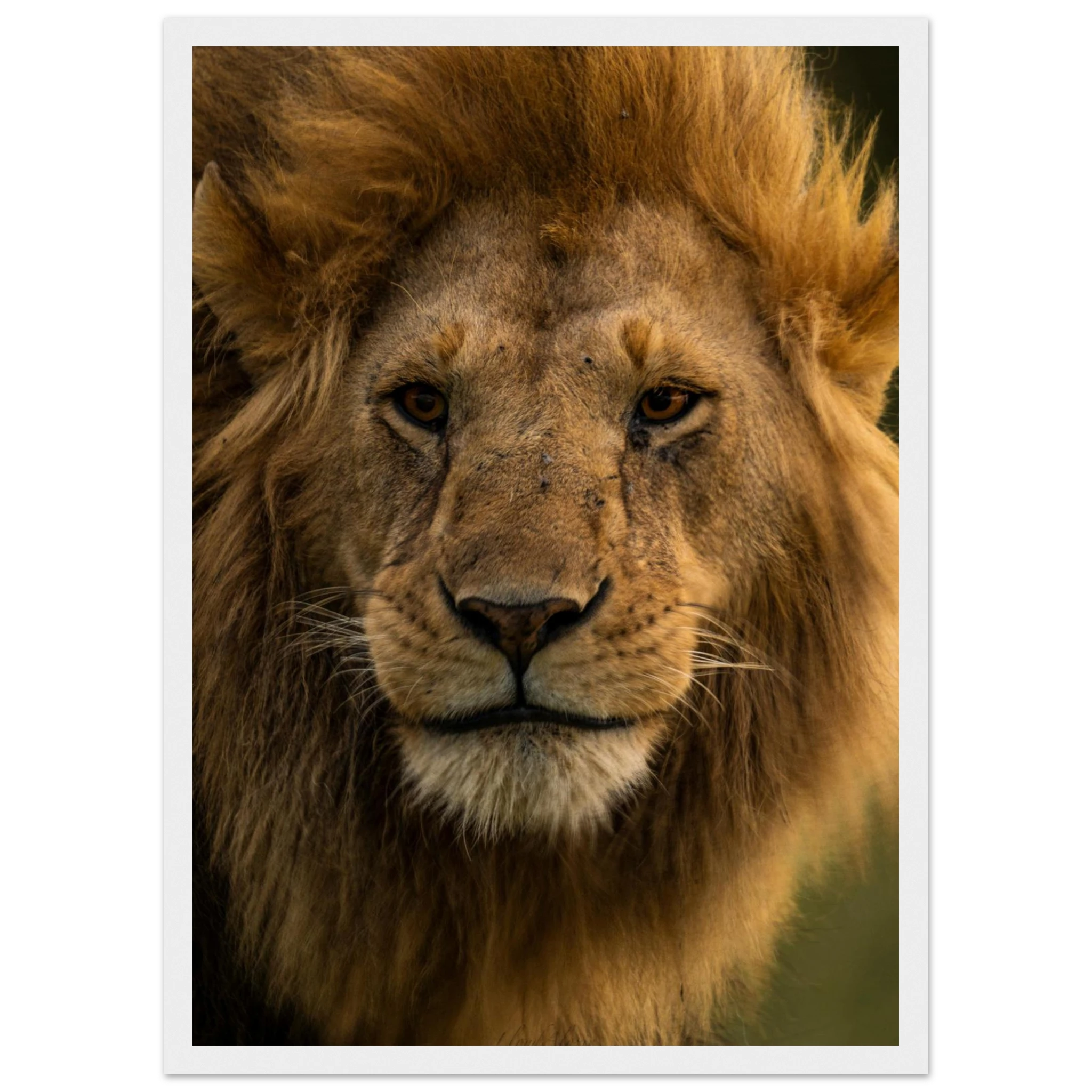 a97a1227-bf31-4453-aac5-6d4b86b4f2b4